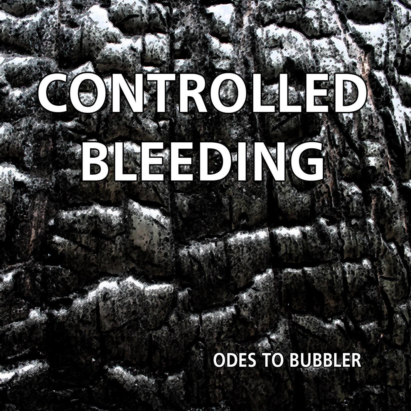 Controlled Bleeding - Jay's Song #1