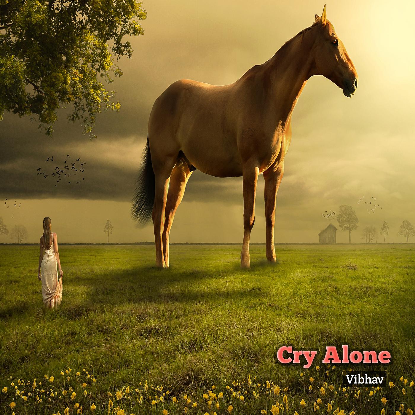 Постер альбома Cry Alone