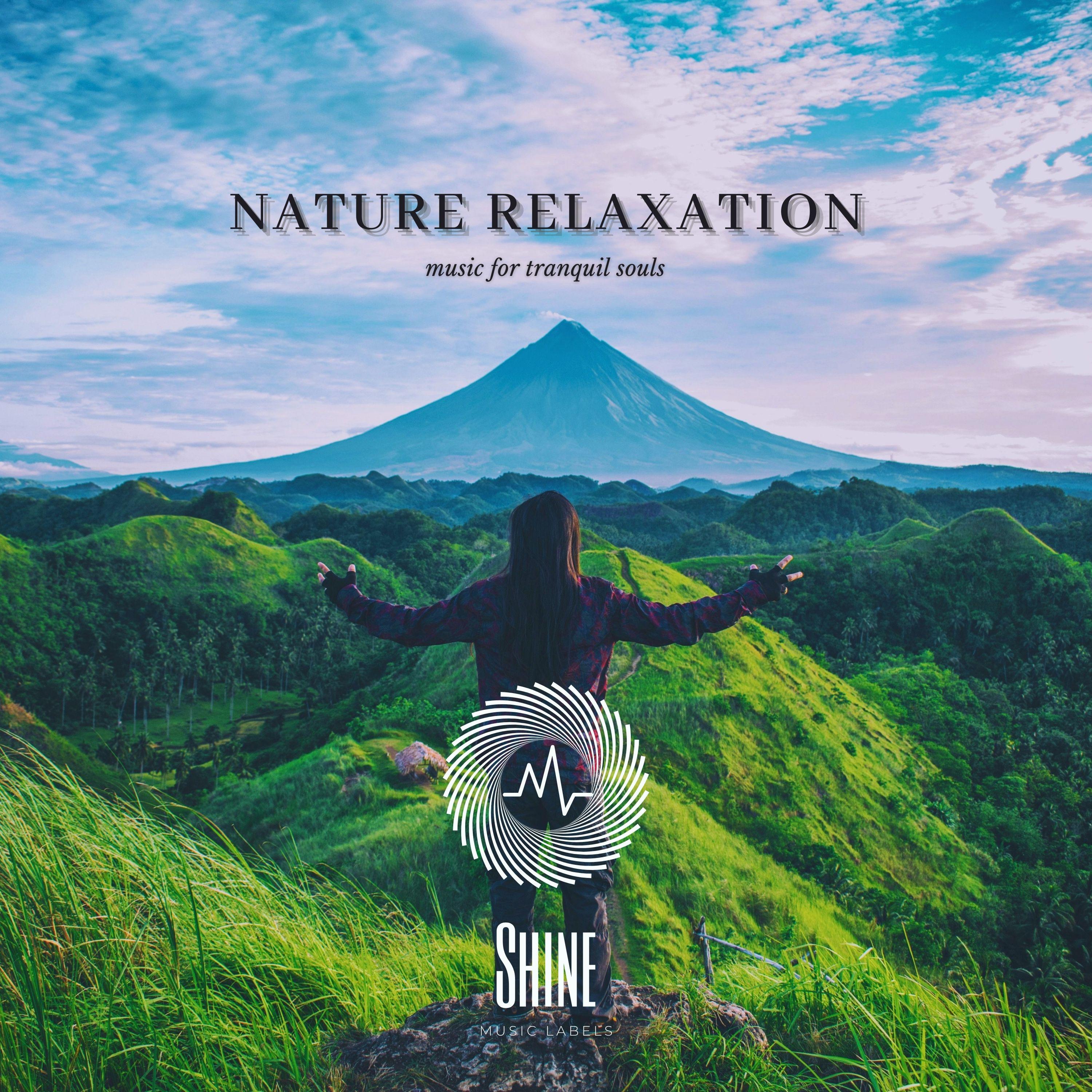 Постер альбома Nature Relaxation