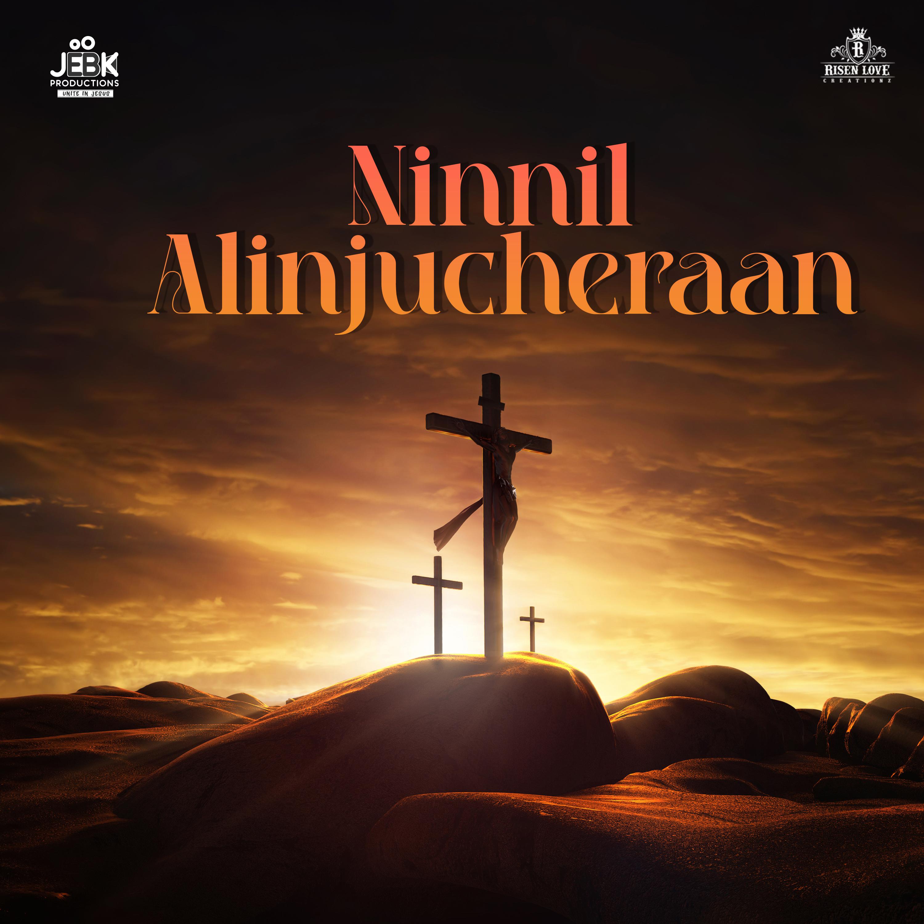 Постер альбома Ninnil Alinjucheraan