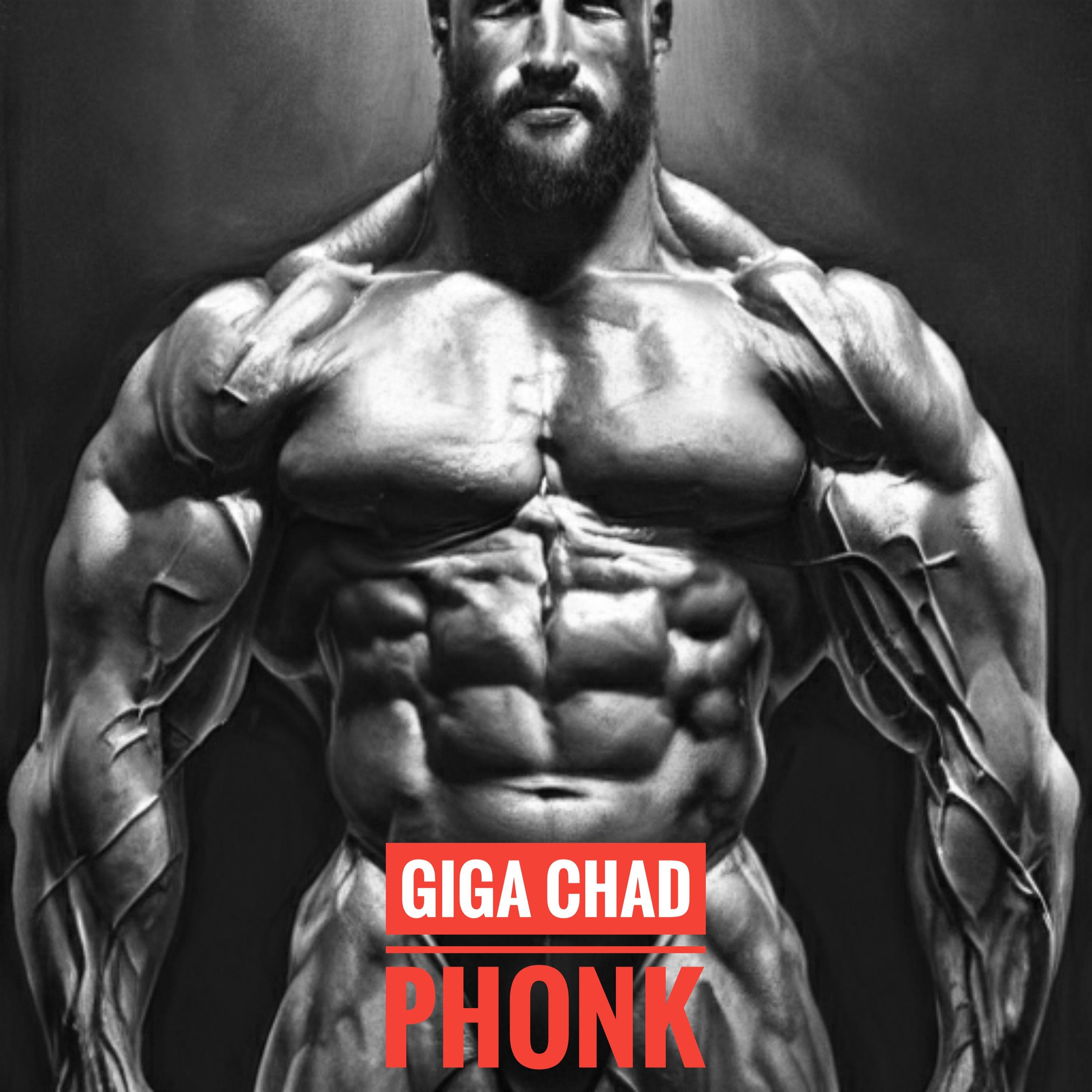 Постер альбома Giga Chad Phonk