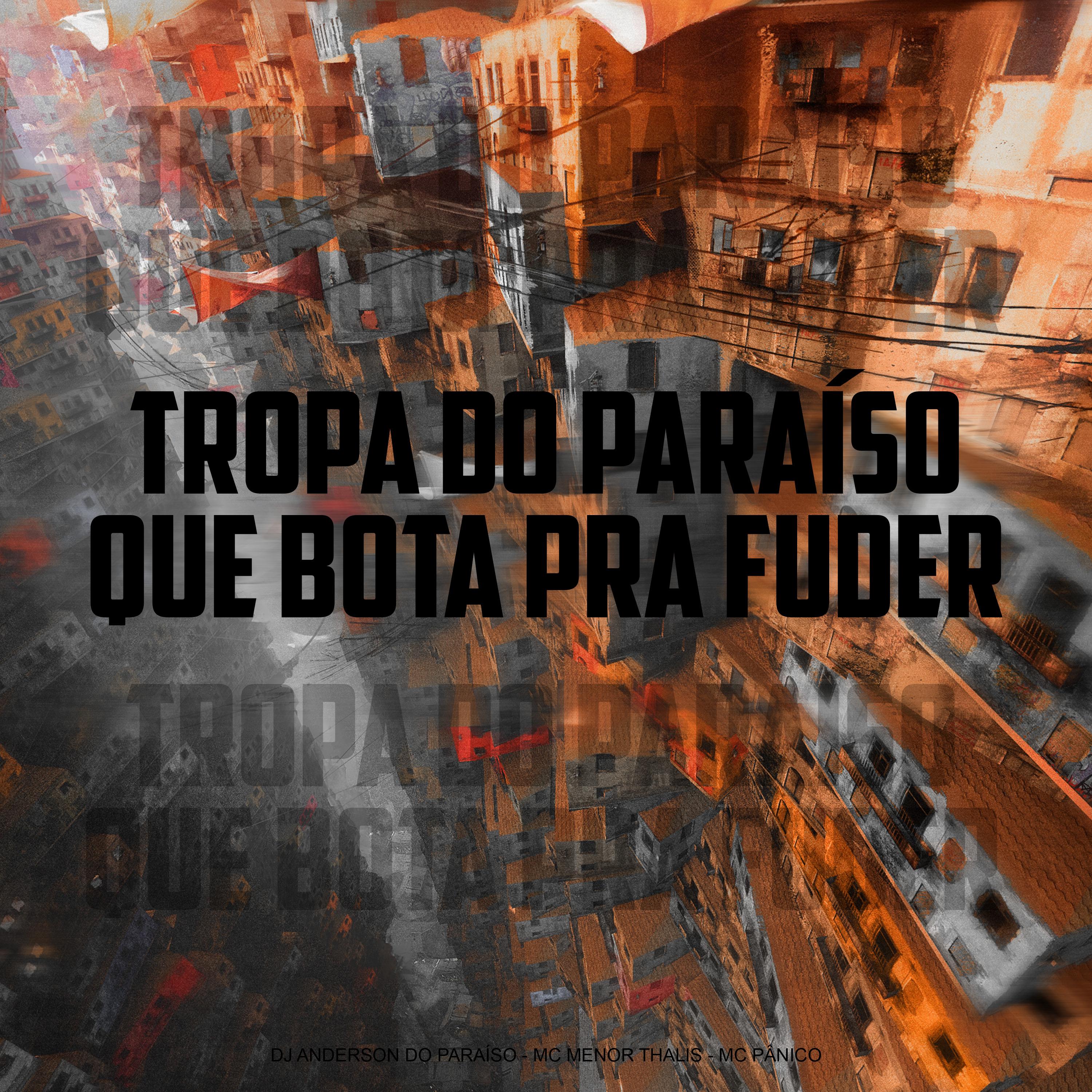 Постер альбома Tropa do Paraiso, Que Bota pra Fuder