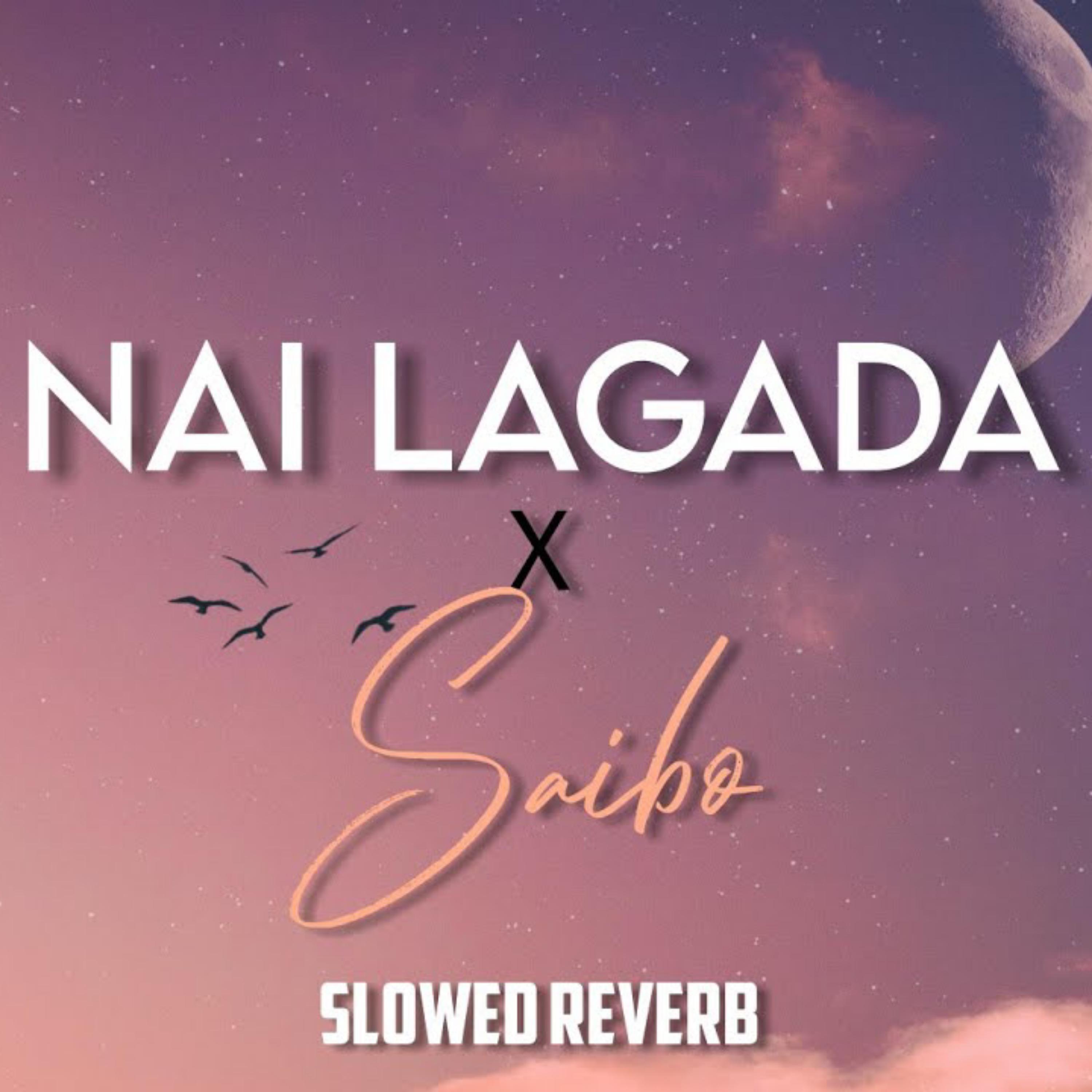 Постер альбома Nai Lagda x Saibo
