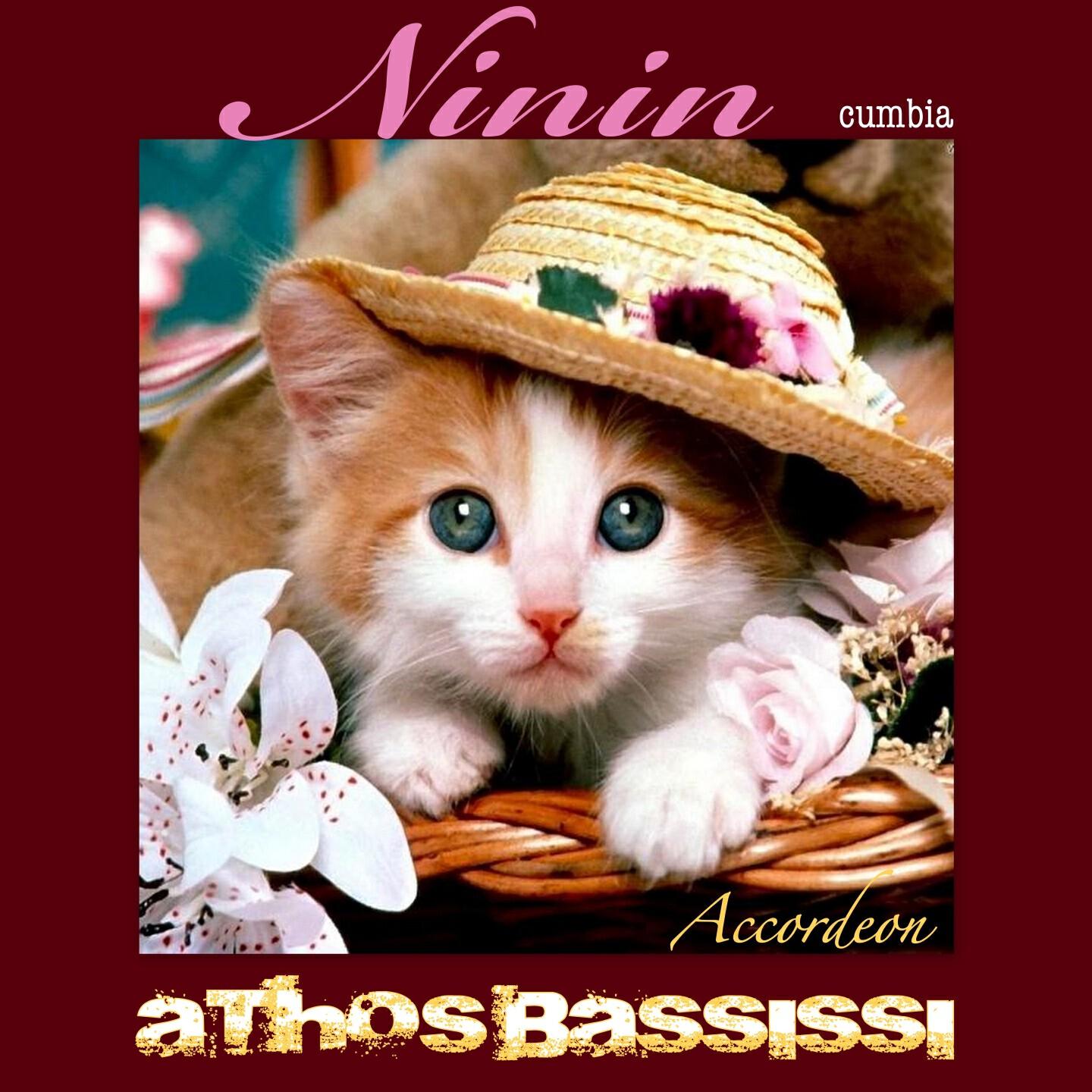 Athos Bassissi - Ninin (Cumbia) (Accordeon)