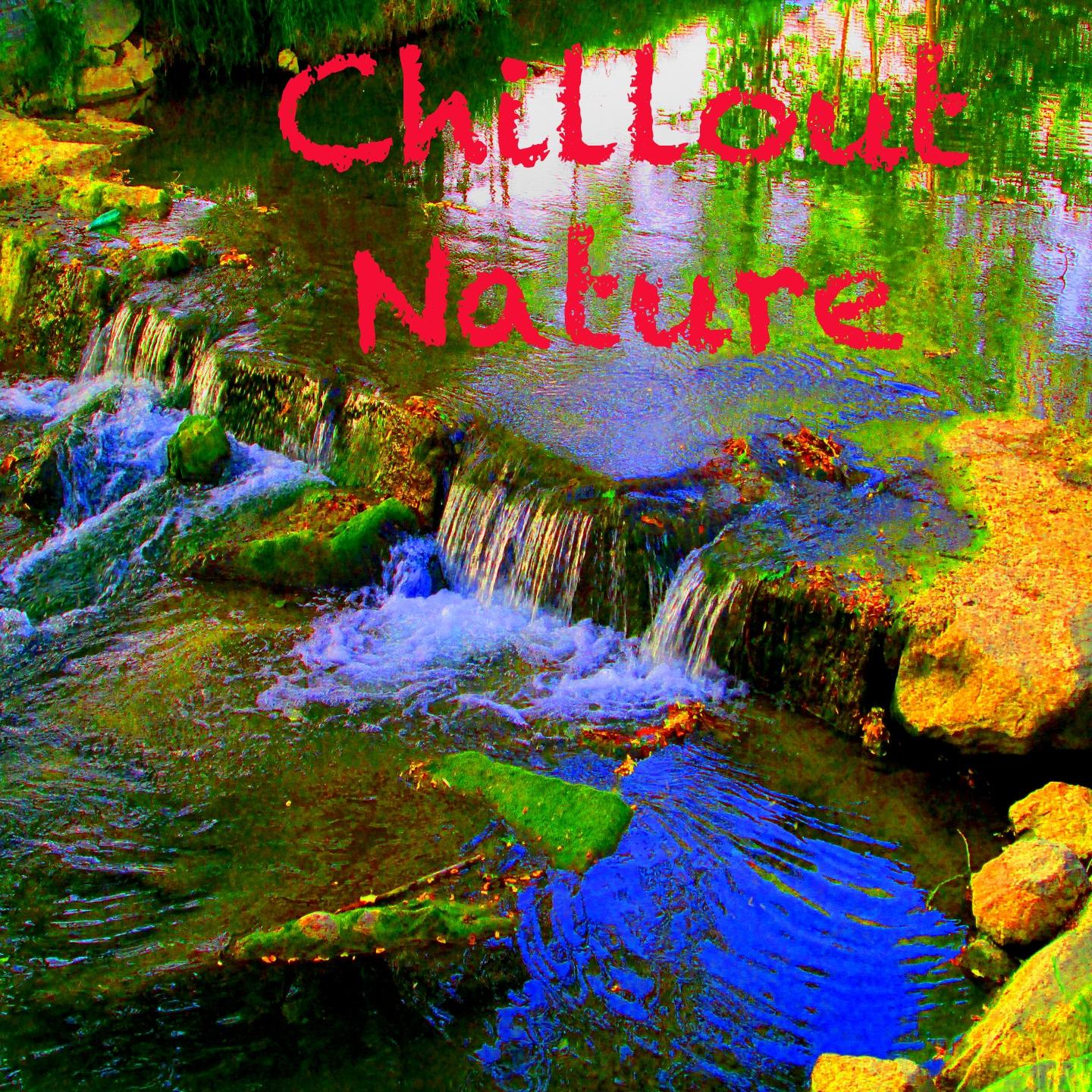 Постер альбома Chillout Nature