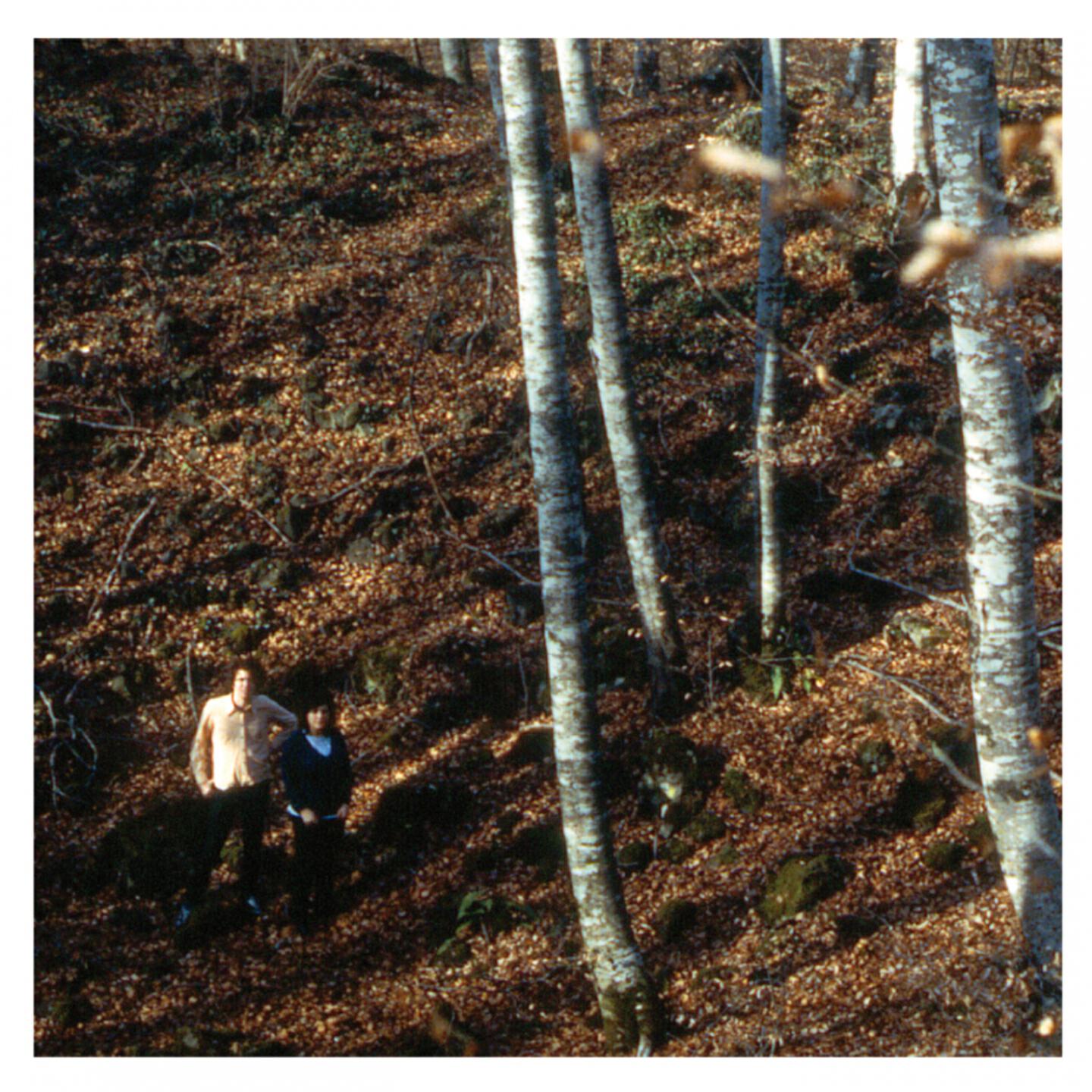 Albaialeix - El Camí d'Herba Vermella