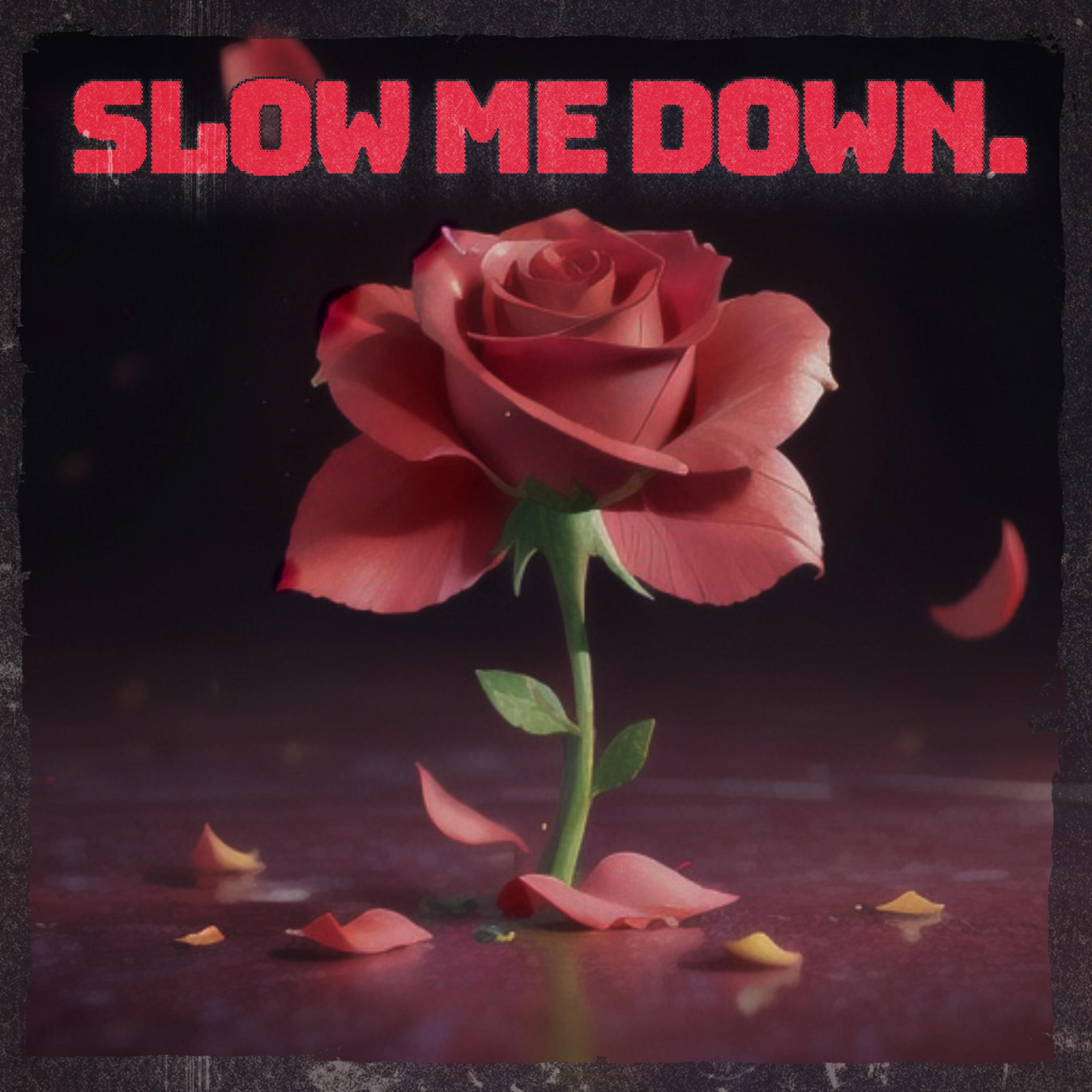 Постер альбома Slow Me Down