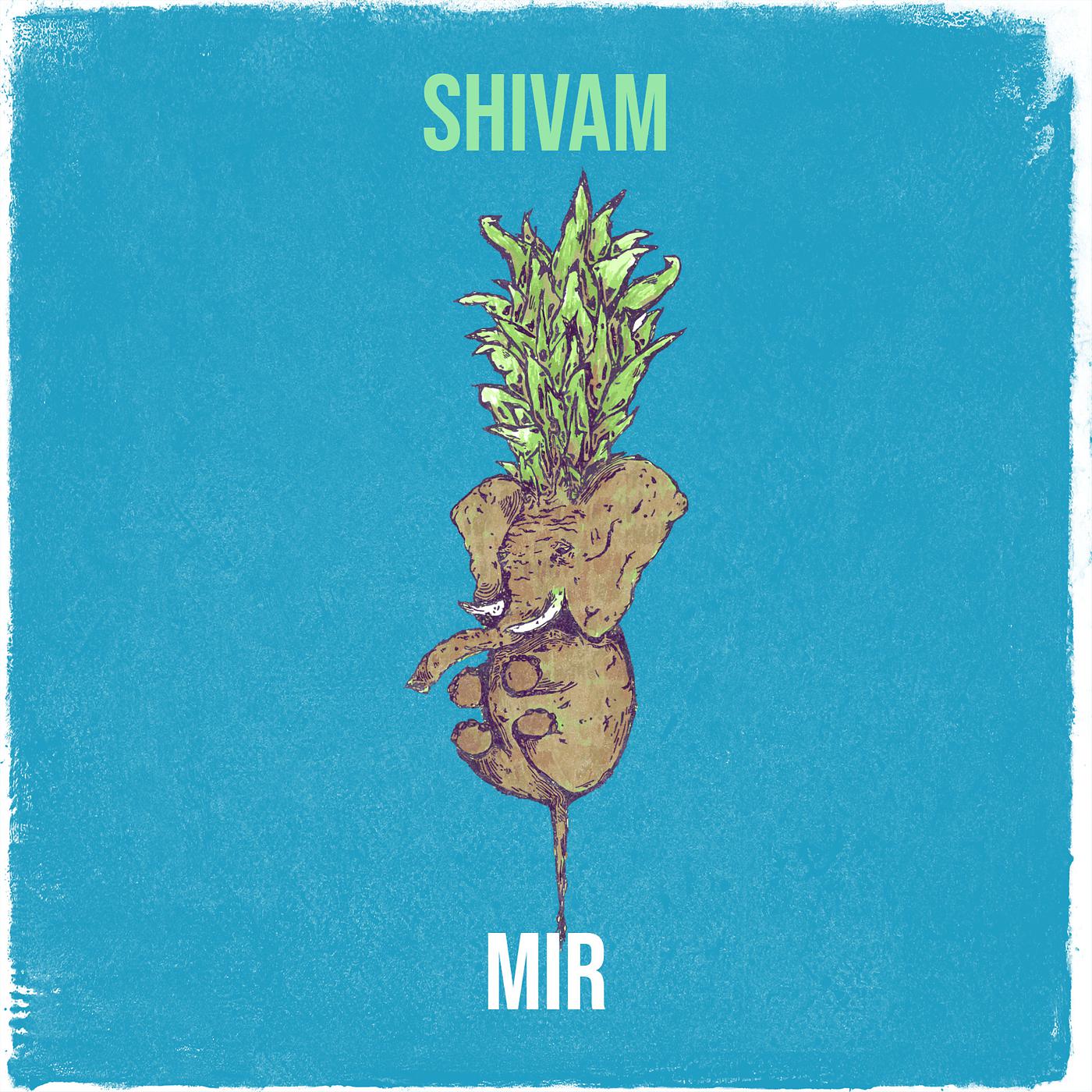 Постер альбома Shivam