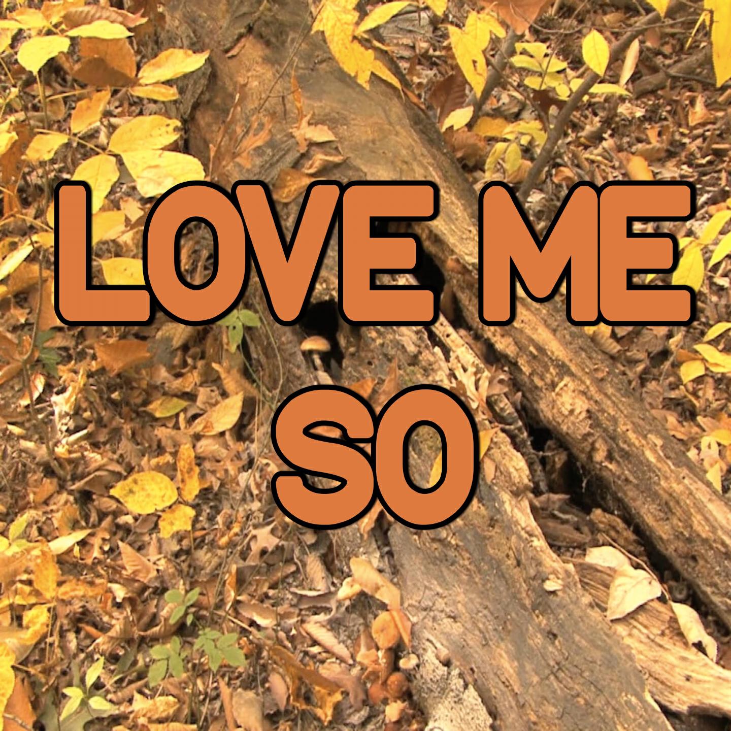 Swift Hits - Love Me So - Tribute to Stereo Kicks