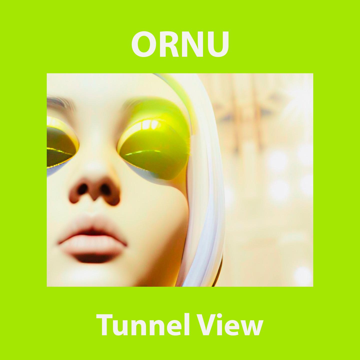 Постер альбома Tunnel View