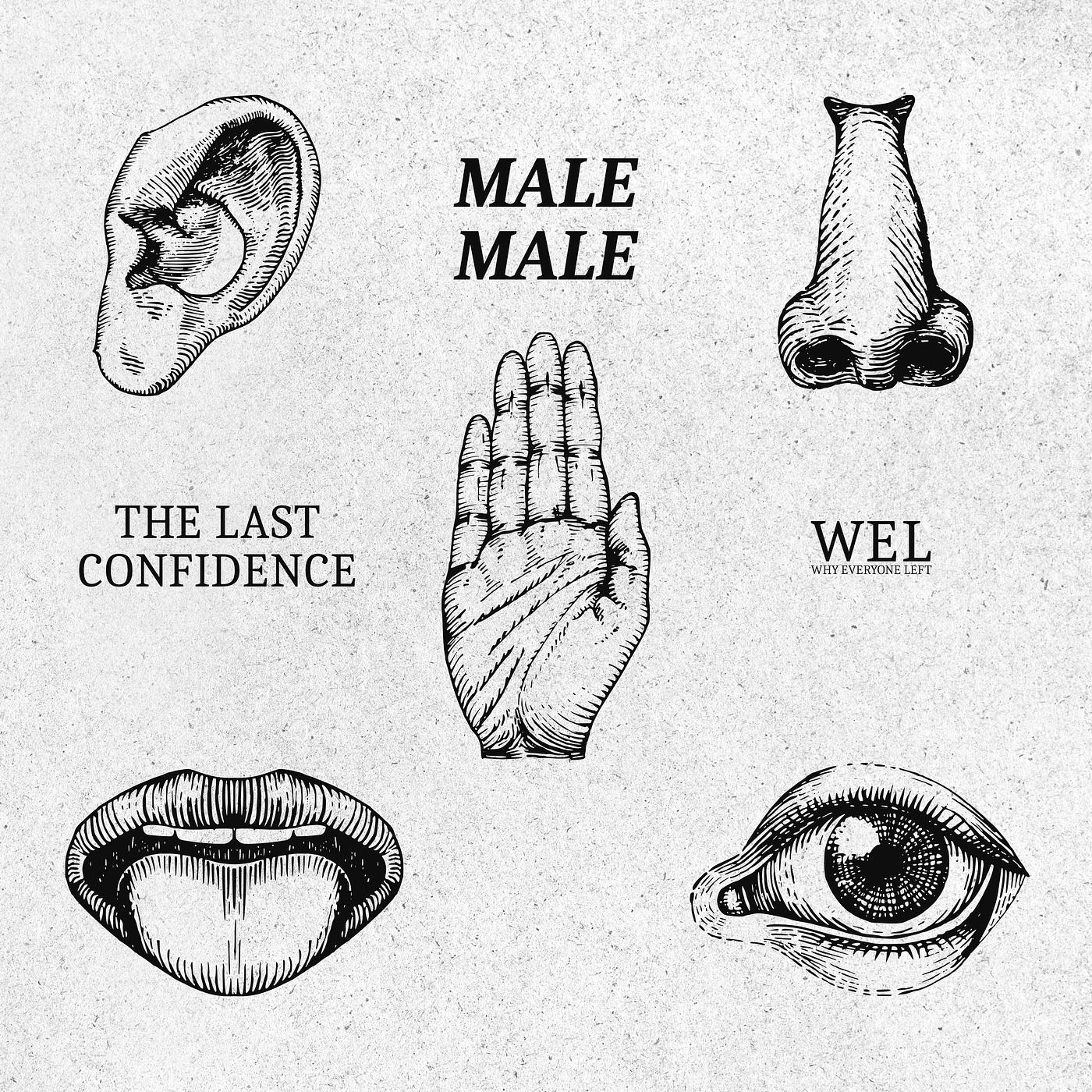 Постер альбома Male Male