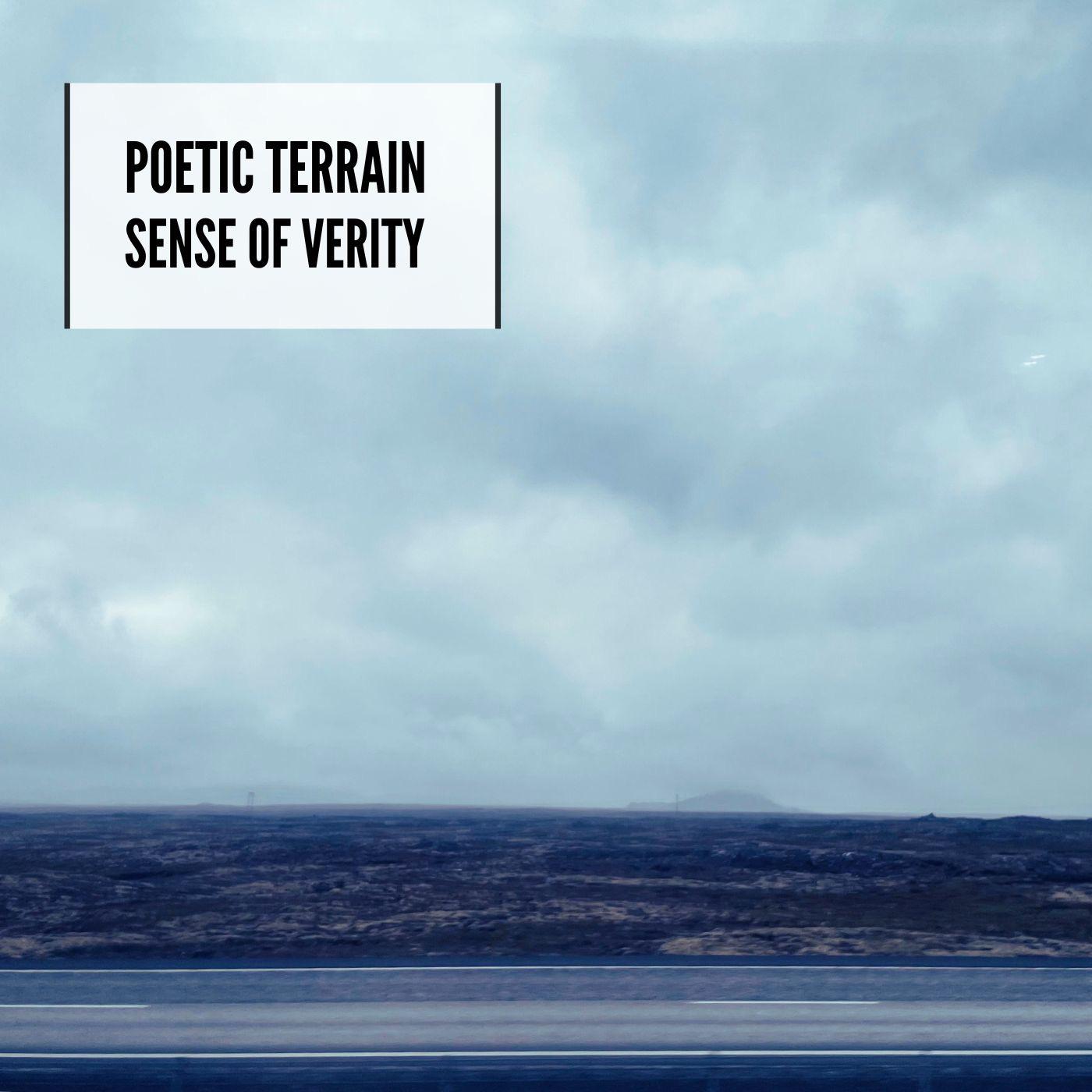 Постер альбома POETIC TERRAIN / SENSE OF VERITY