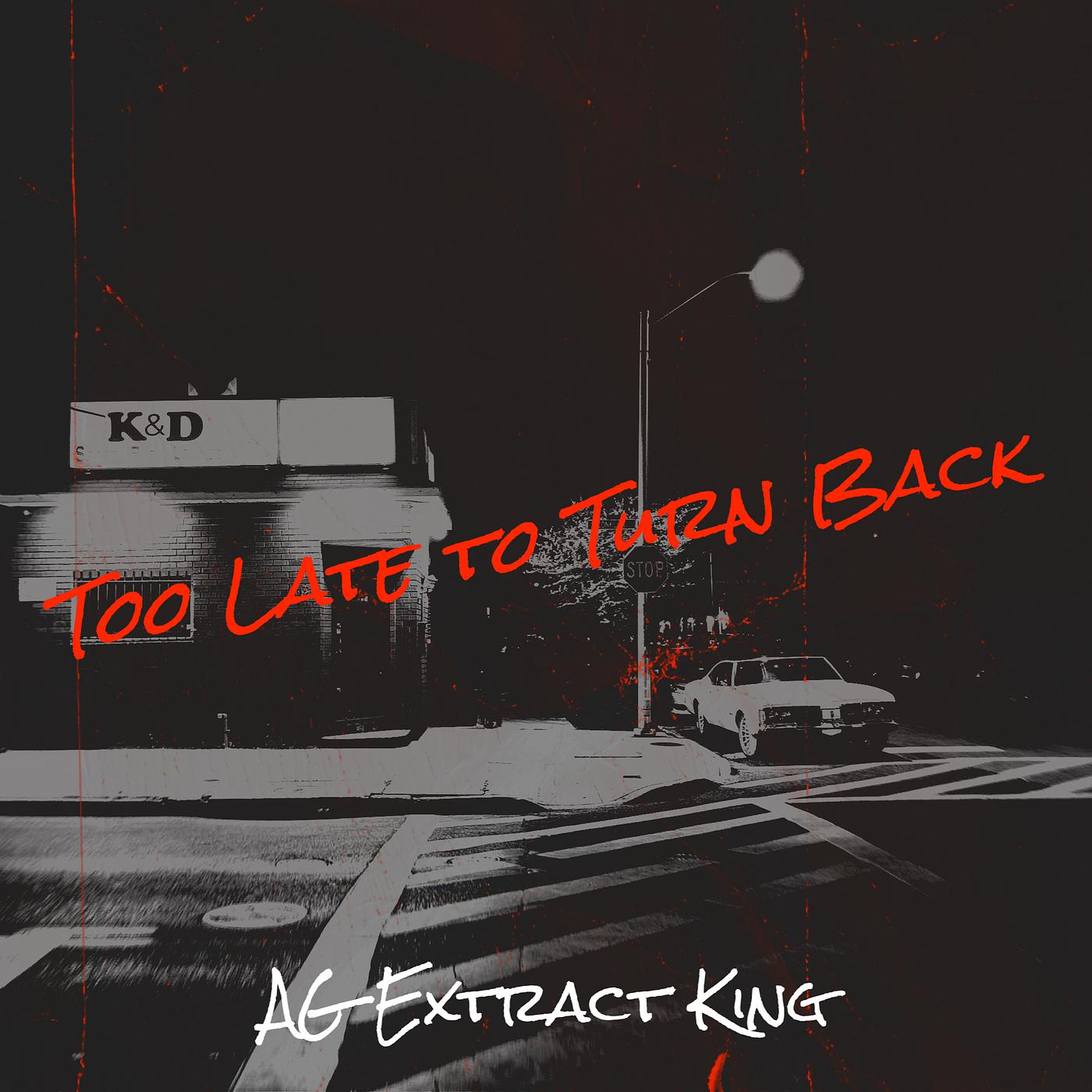 Постер альбома Too Late to Turn Back
