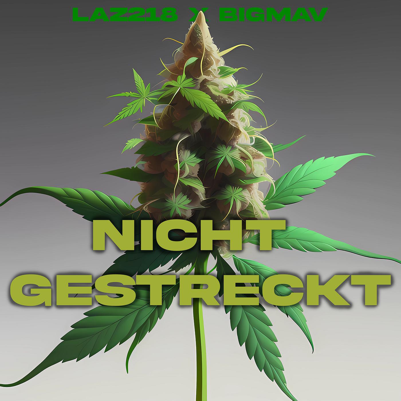 Постер альбома Nicht Gestreckt