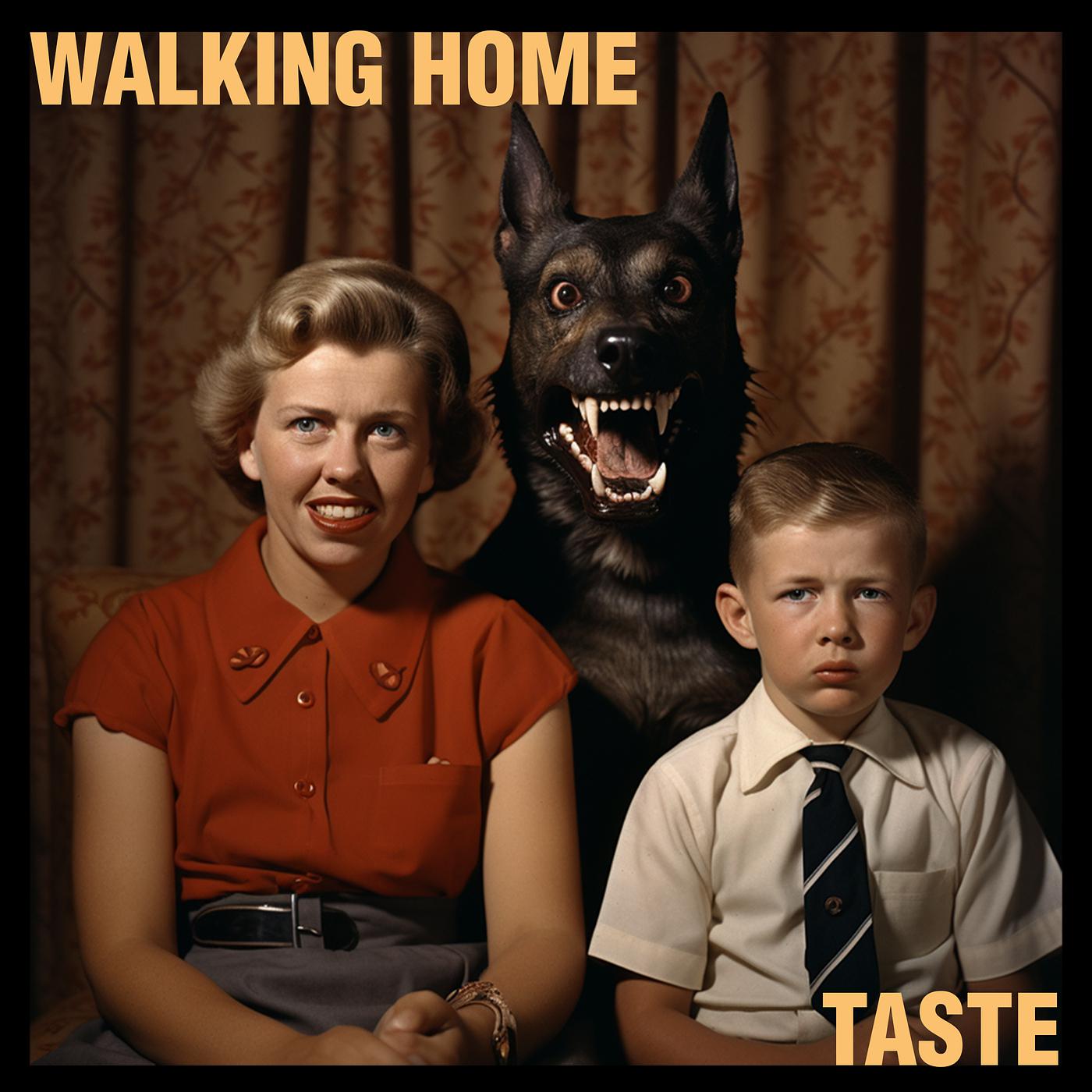 Постер альбома Walking Home