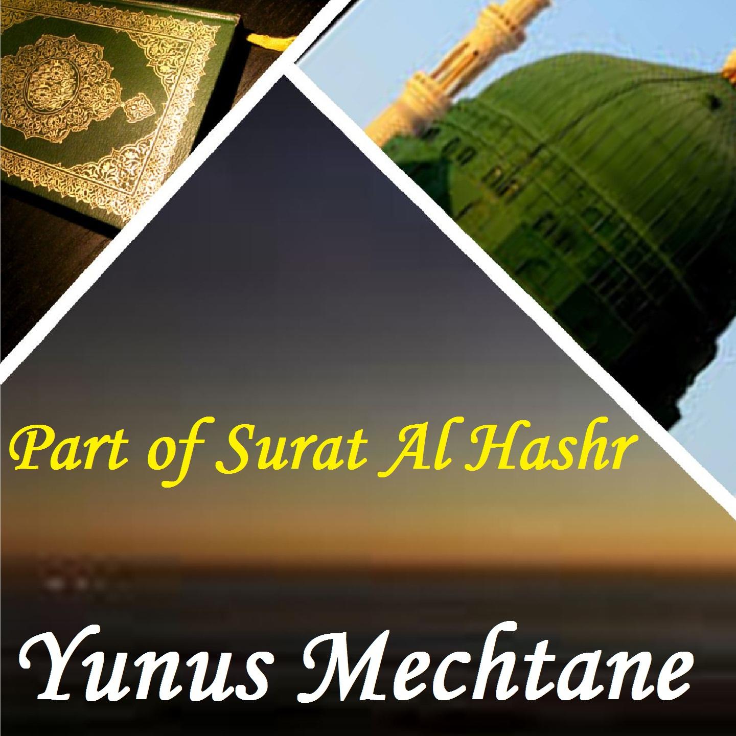 Постер альбома Part Of Surat Al Hashr