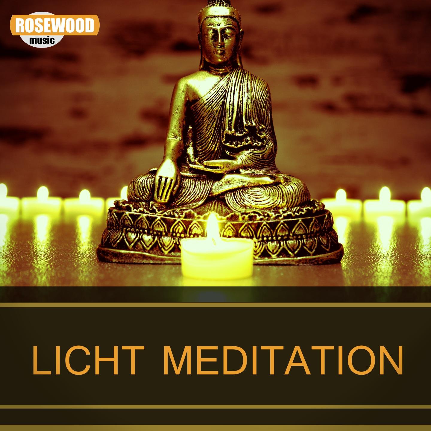 Постер альбома Licht Meditation