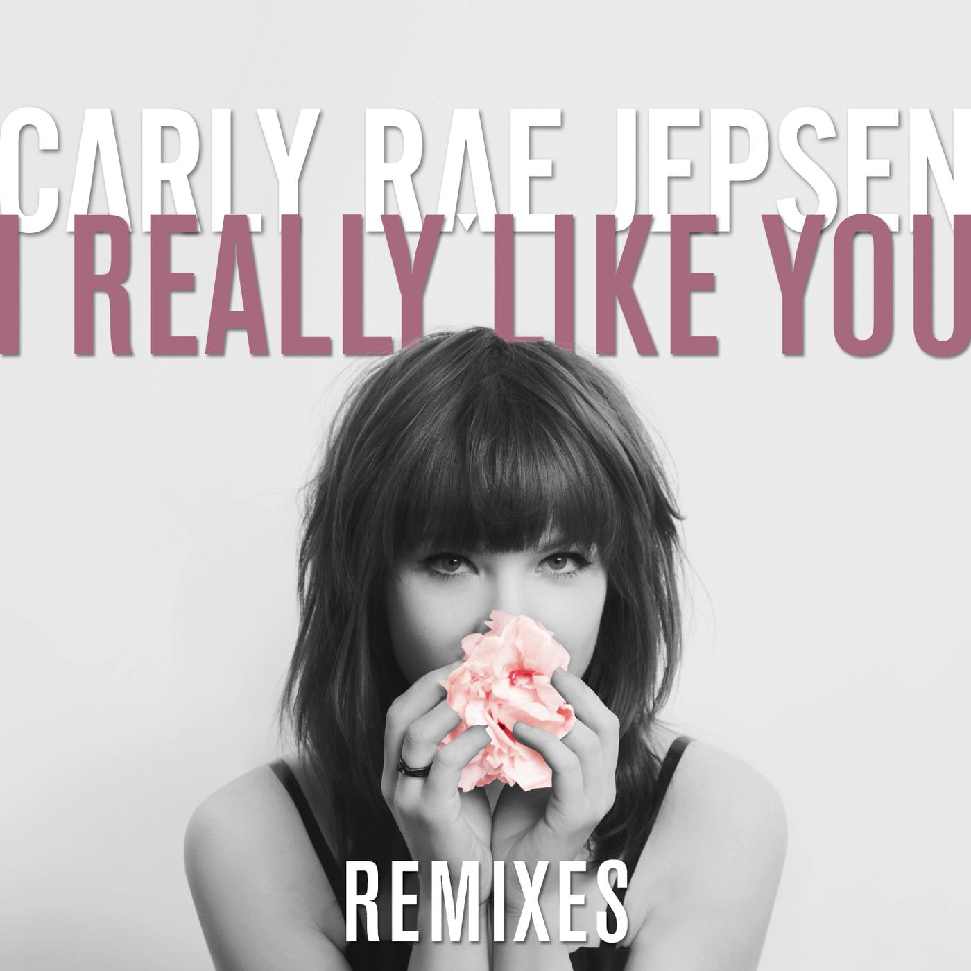 I like your thoughts. Carly Rae Jepsen(2012)Kiss. I really really really like you.