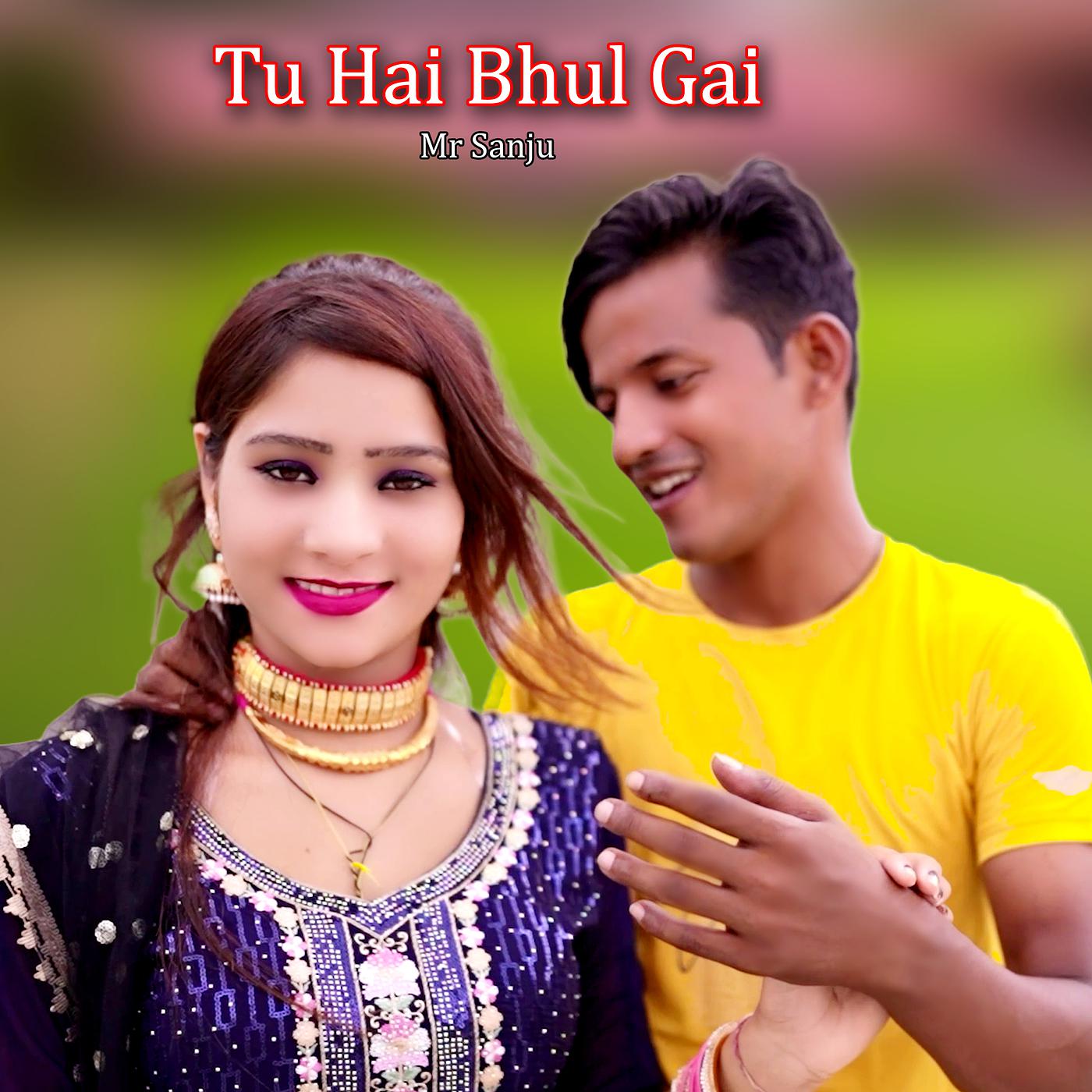 Постер альбома Tu Hai Bhul Gai