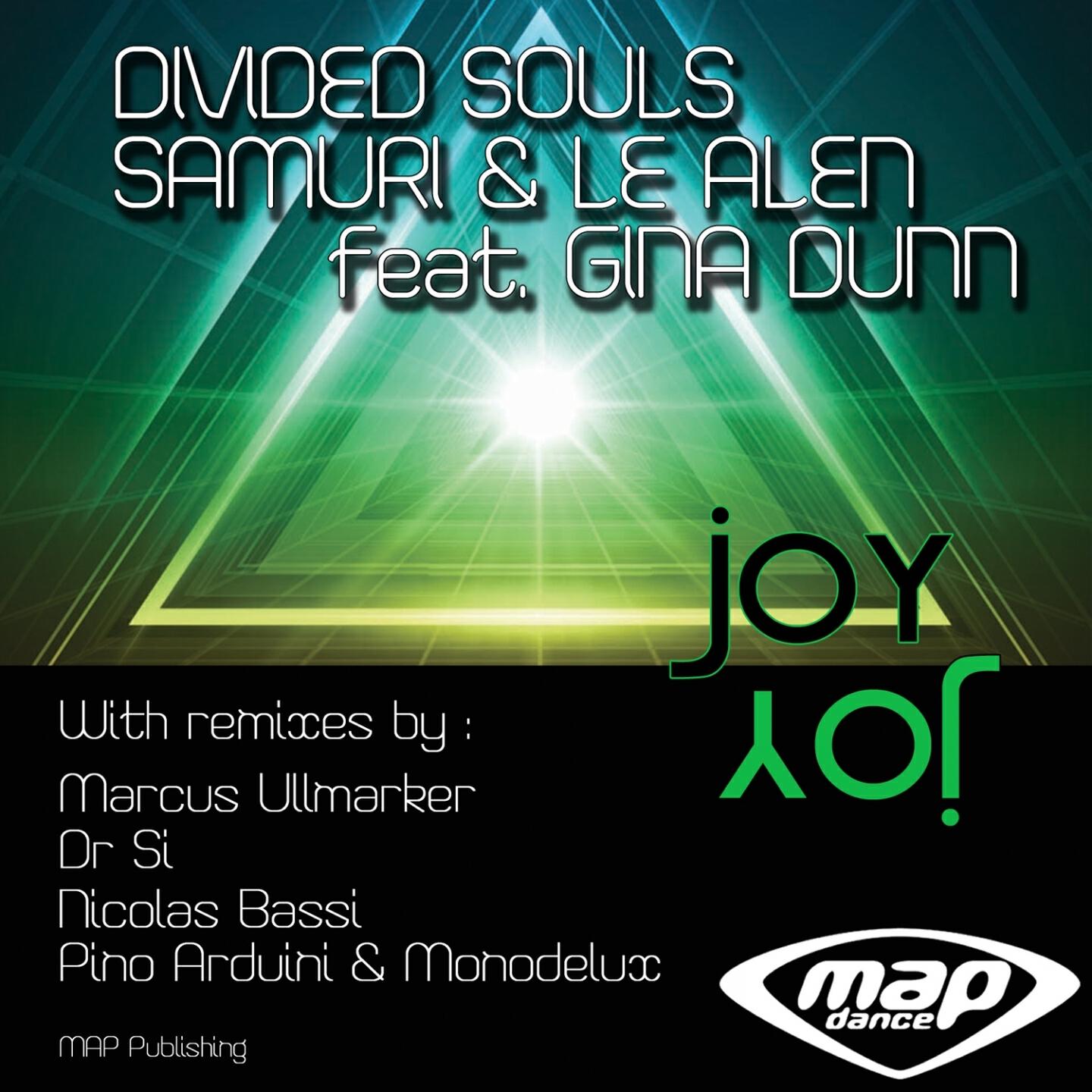 Divided Souls - Joy (Nicolas Bassi Remix)