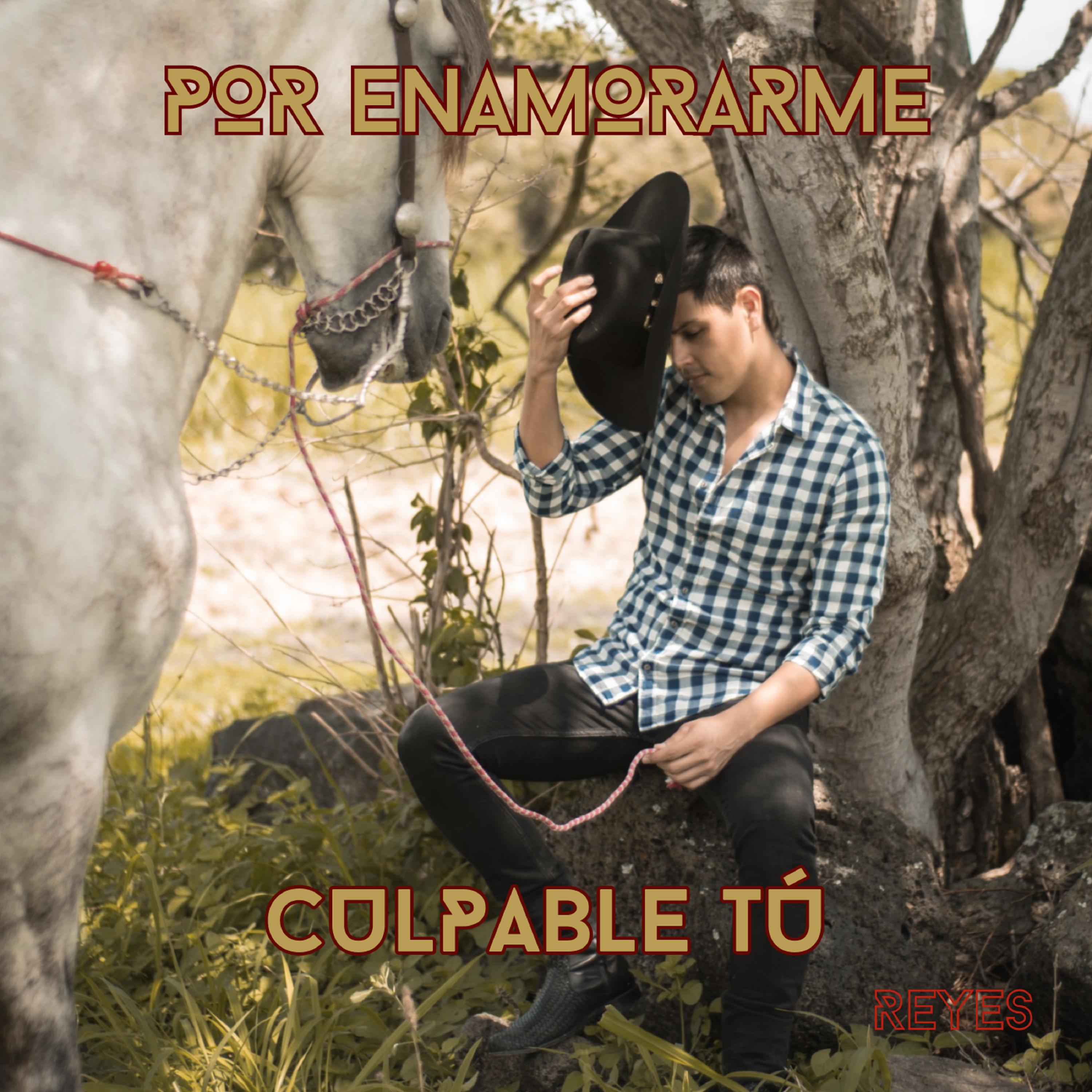 Постер альбома Por Enamorarme / Culpable Tu