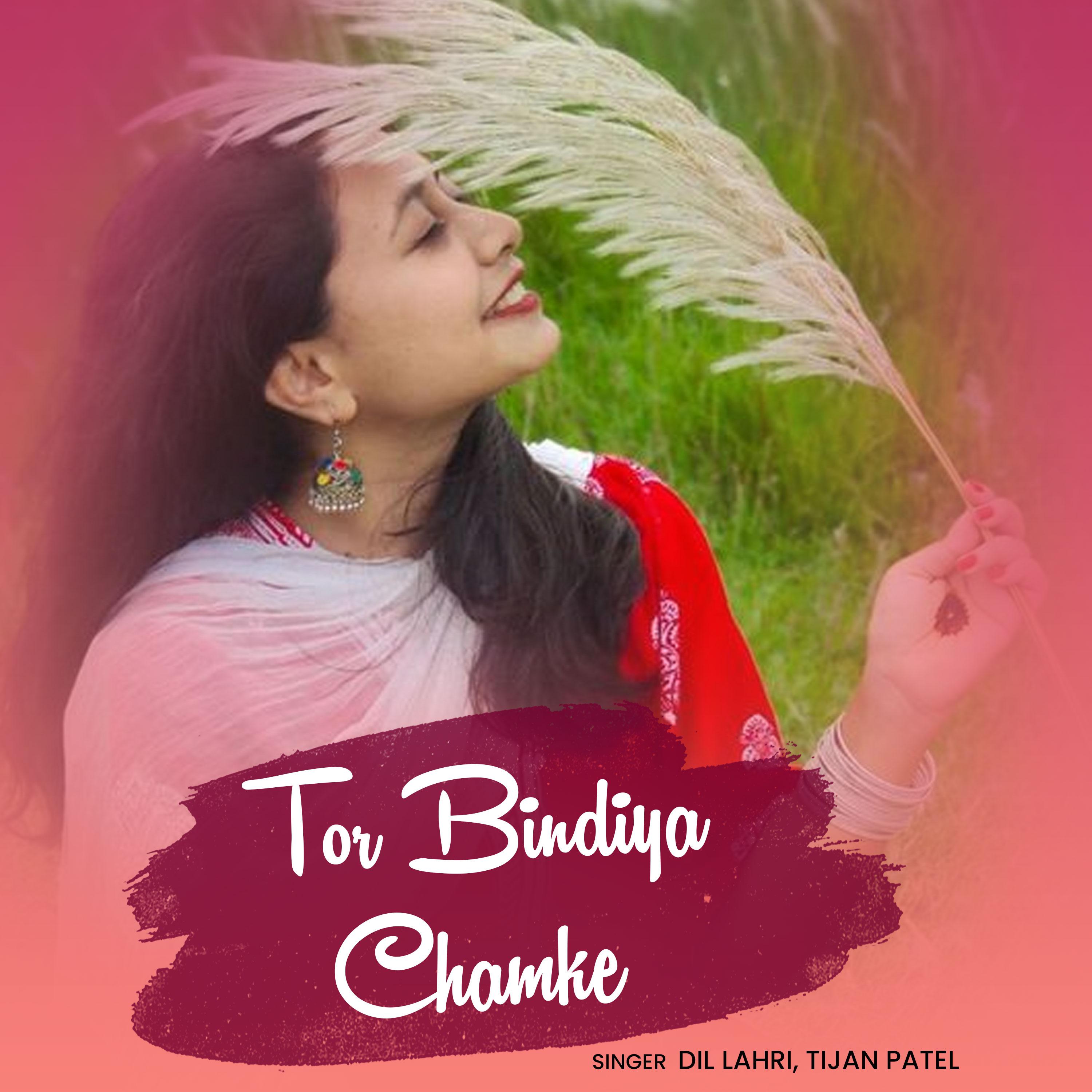 Постер альбома Tor Bindiya Chamke