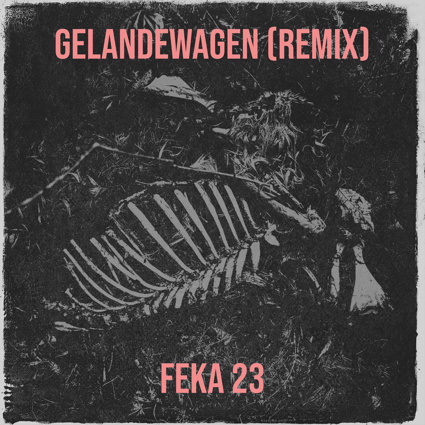 Постер альбома Gelandewagen (Remix)