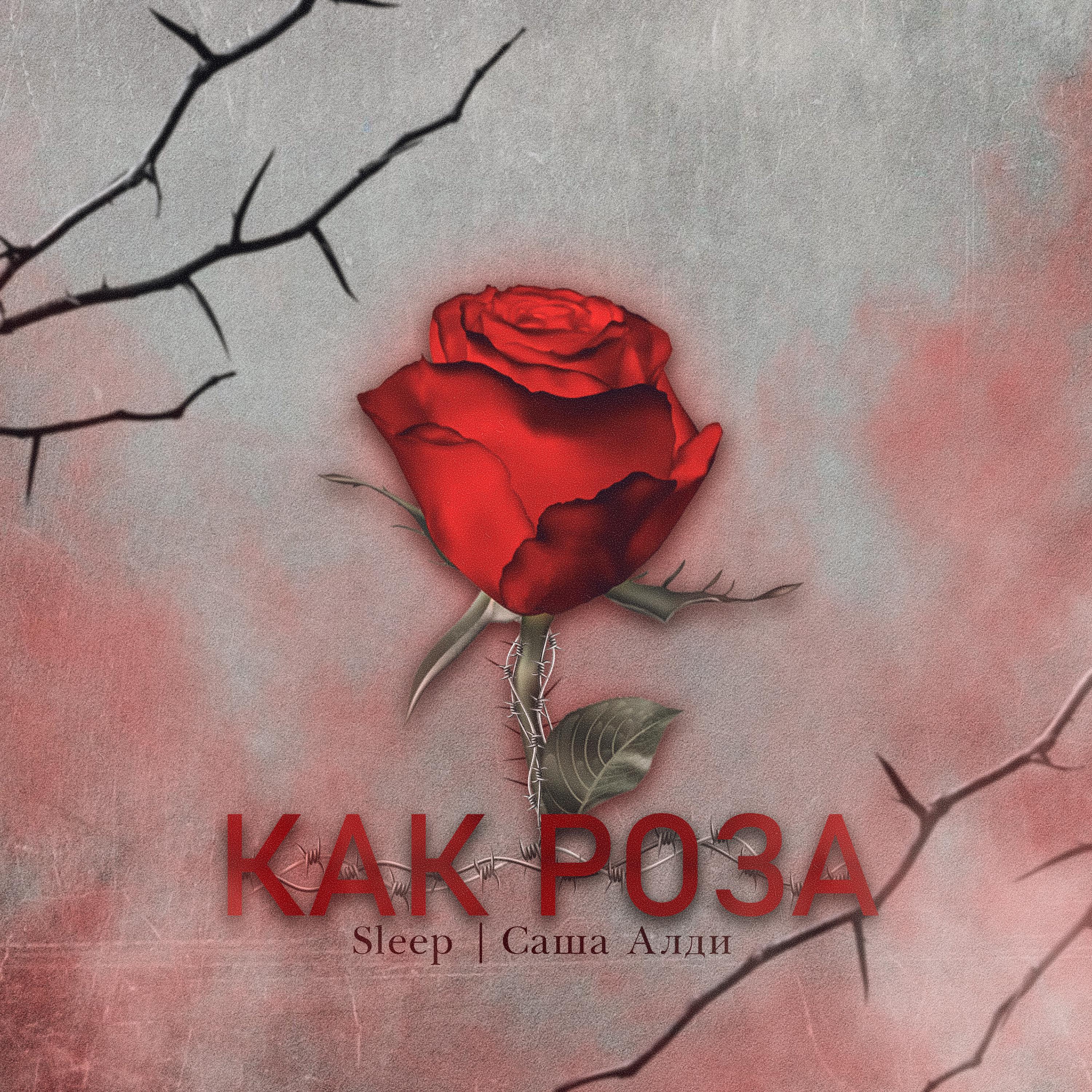 Постер альбома Как роза