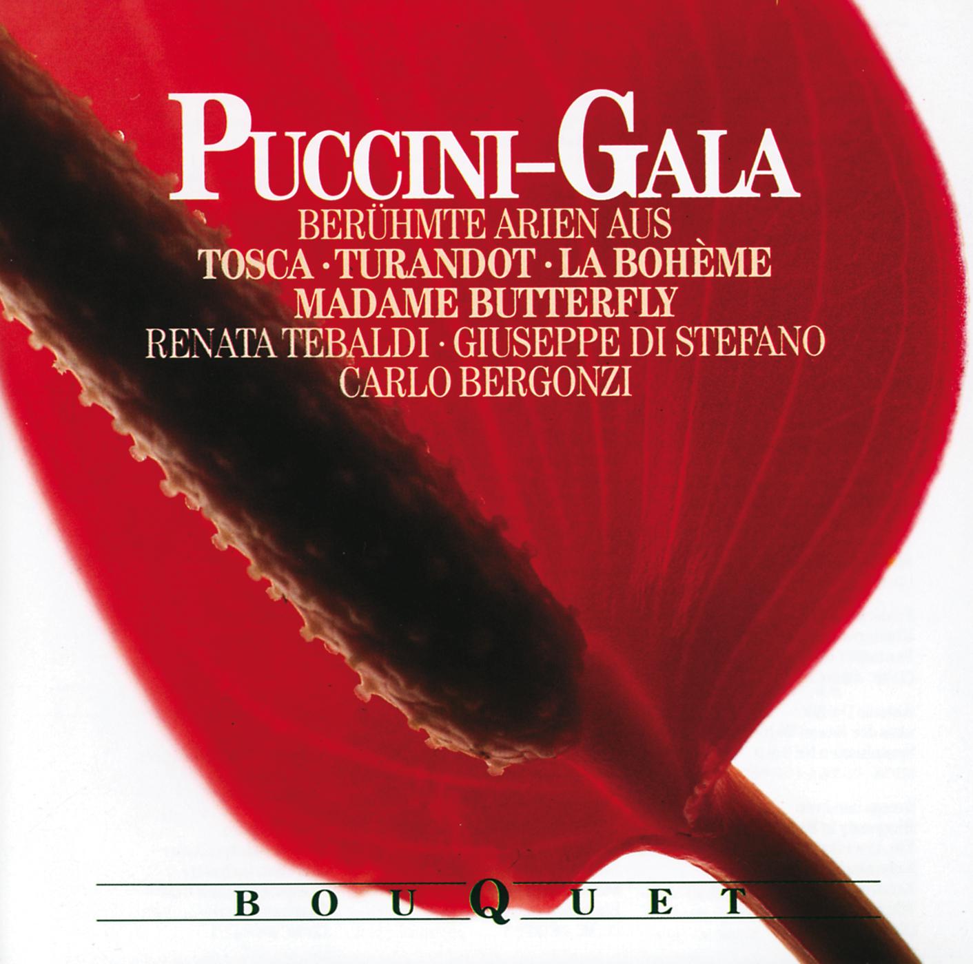 Постер альбома Puccini-Gala