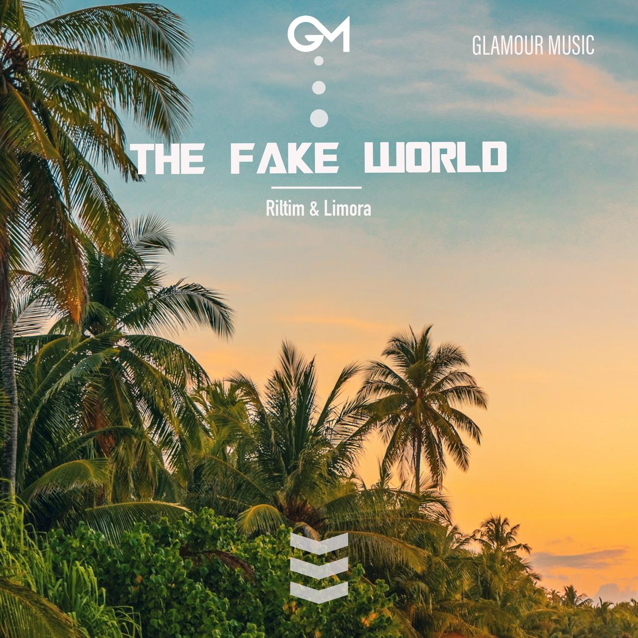 Постер альбома The Fake World