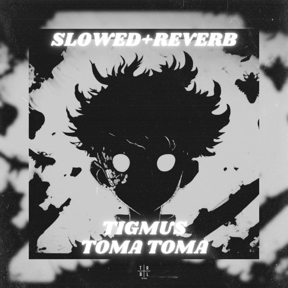 Постер альбома Toma Toma (Brazilian Phonk) [Slowed + Reverb]