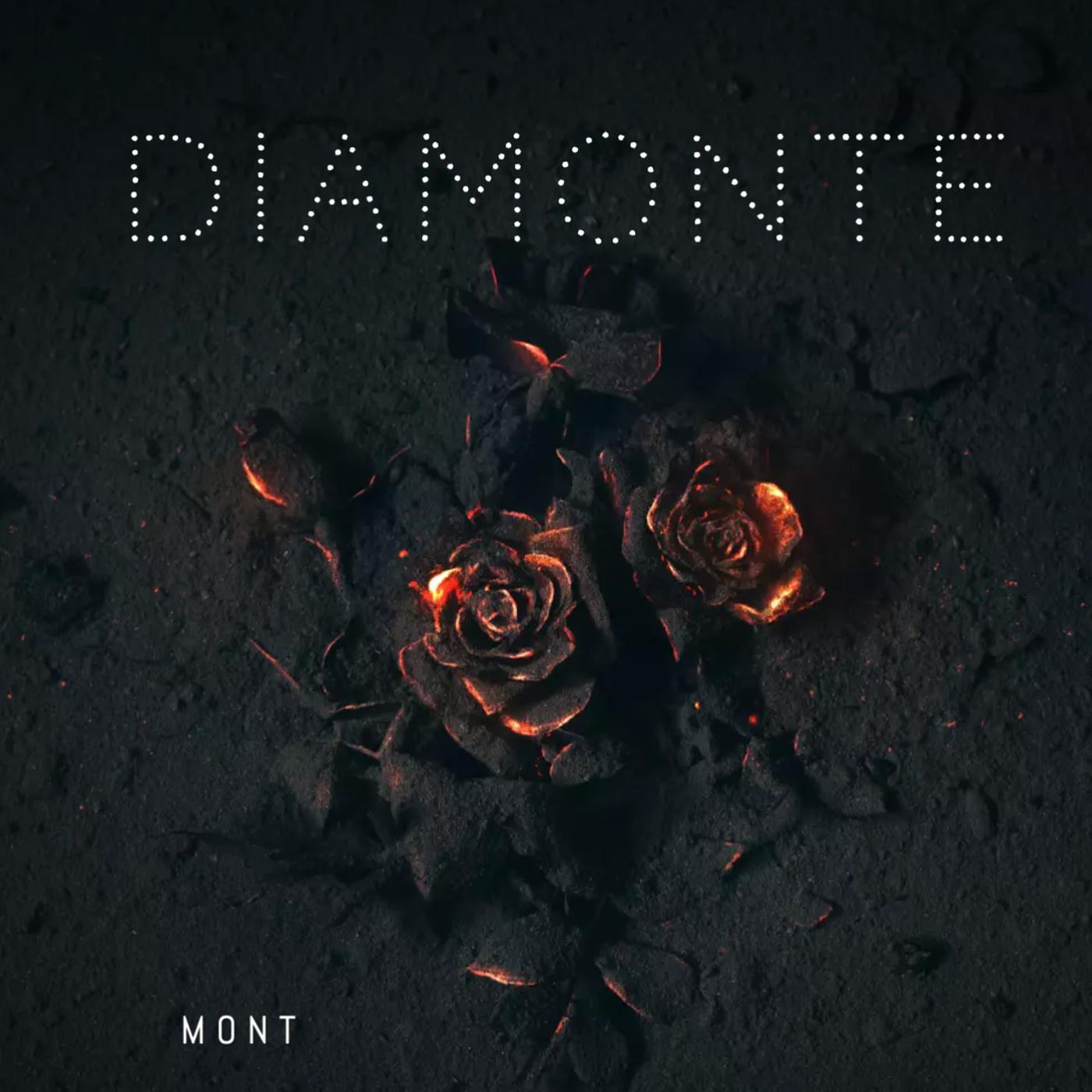 Постер альбома Diamonte (Unappreciated)