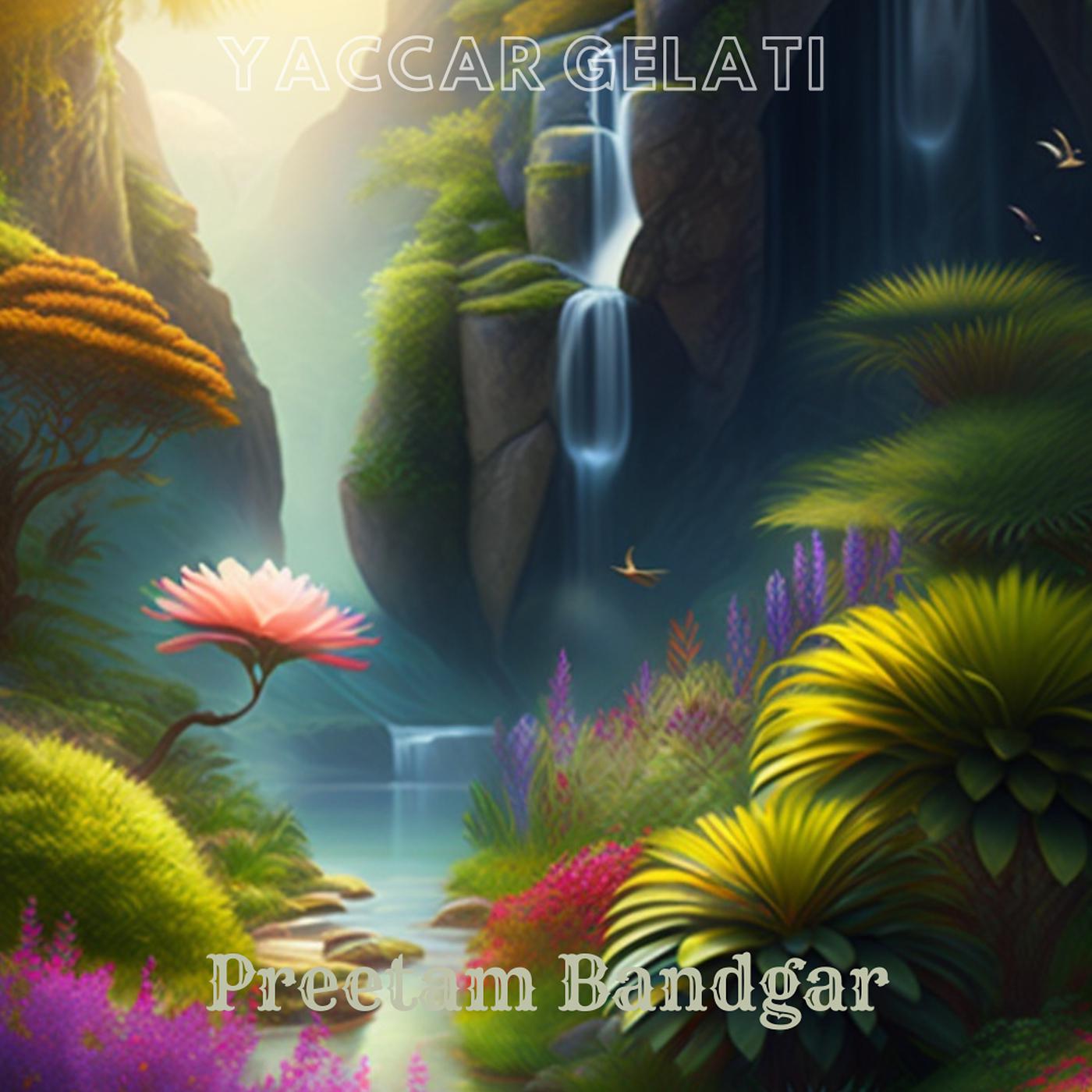 Постер альбома Yaccar Gelati