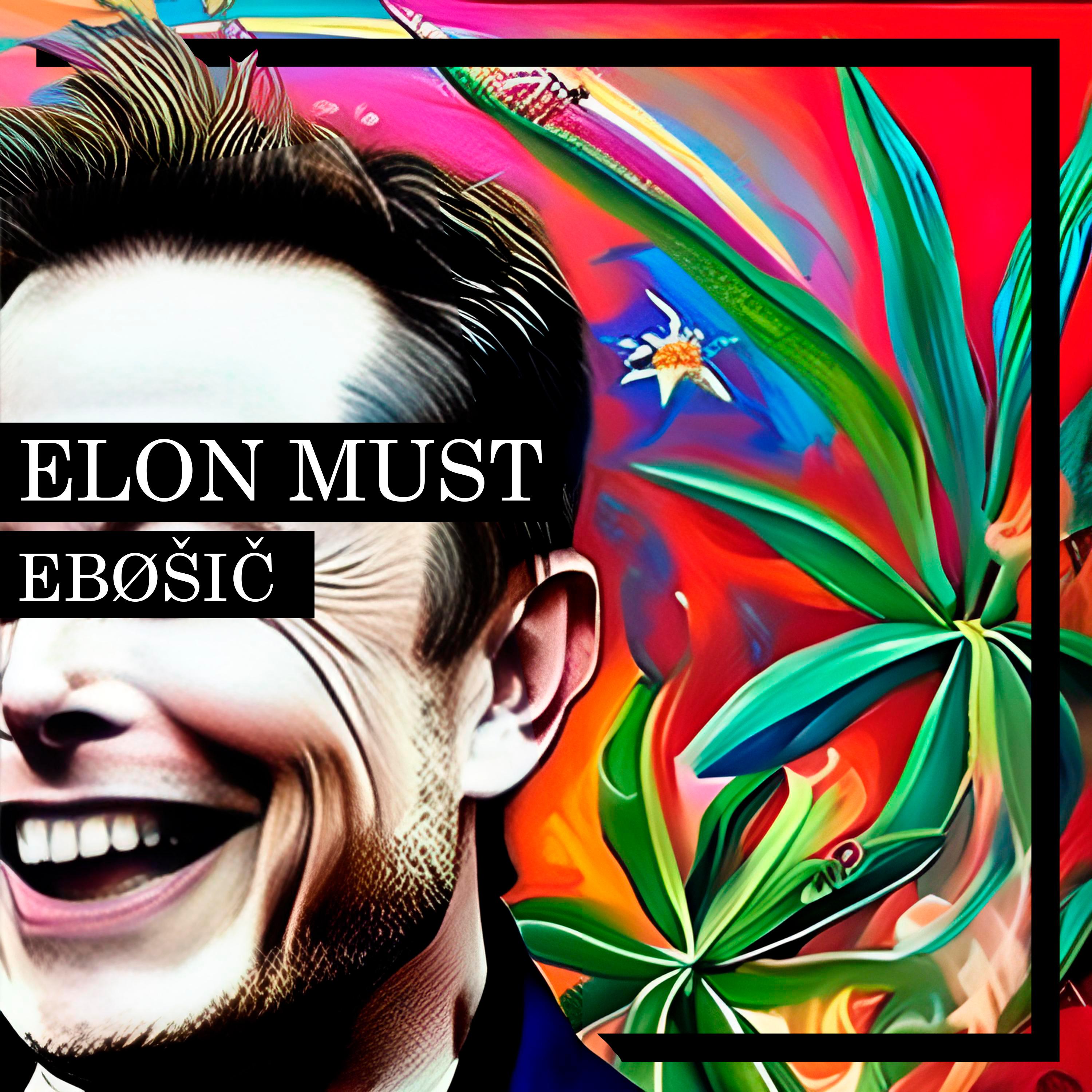 Постер альбома Elon Must