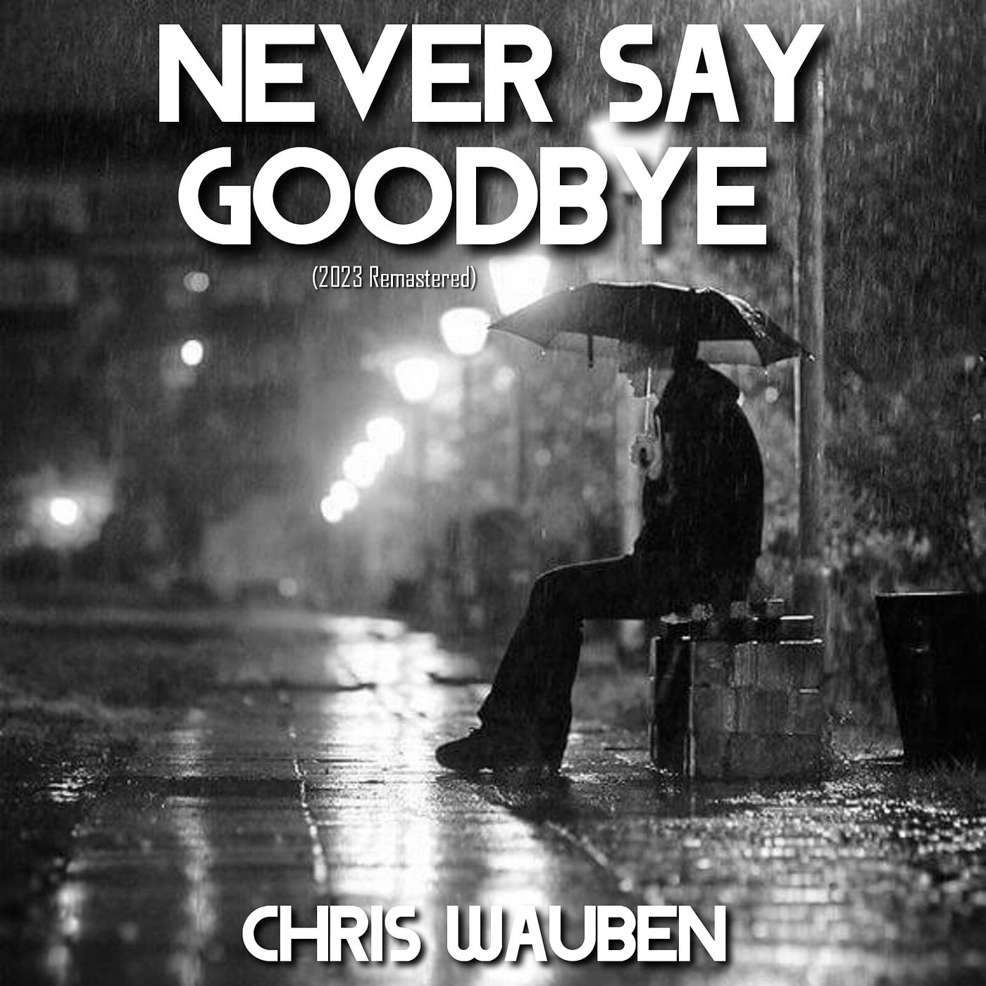 Постер альбома Never Say Goodbye (2023 Remastered)