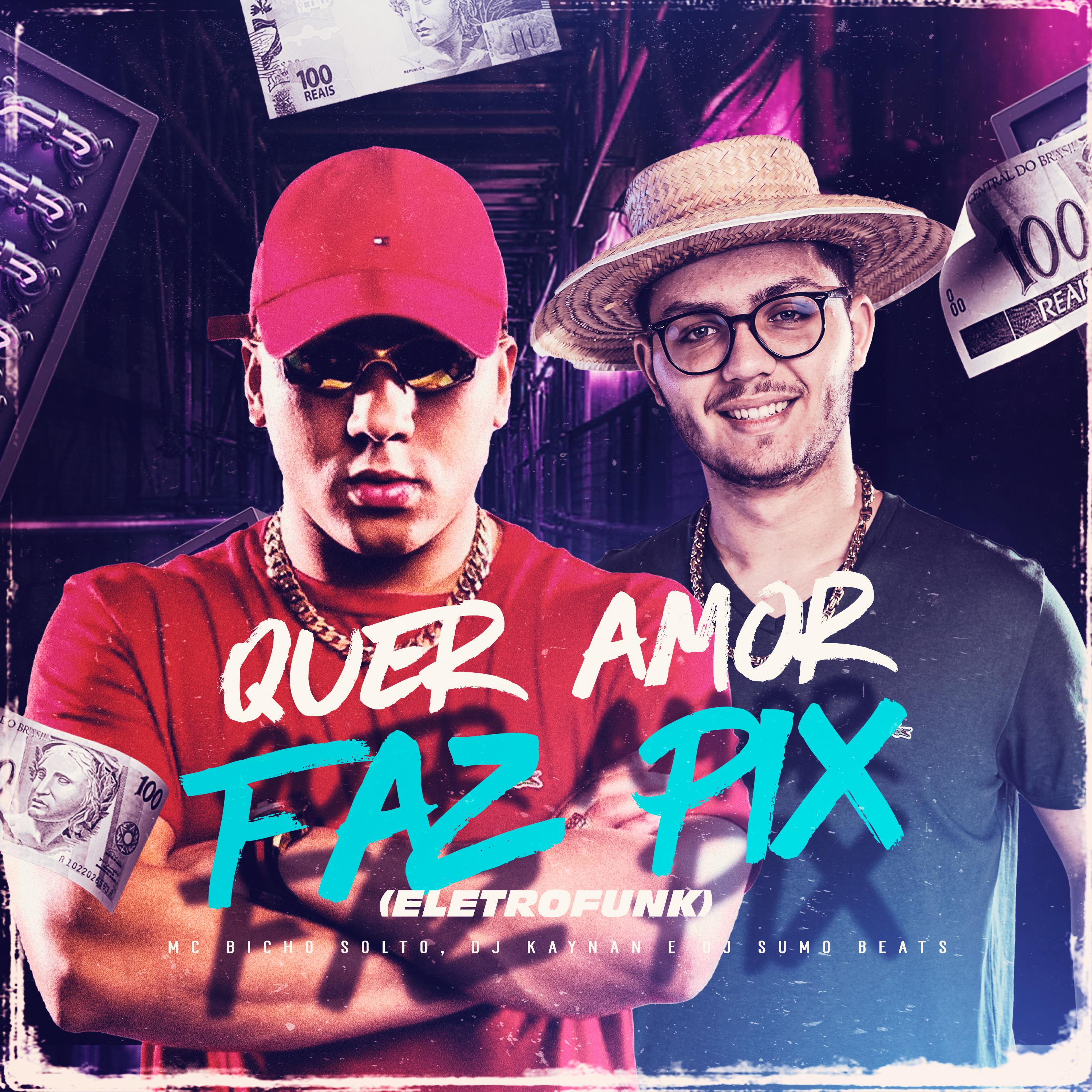 Постер альбома Quer Amor Faz Pix (Eletrofunk)