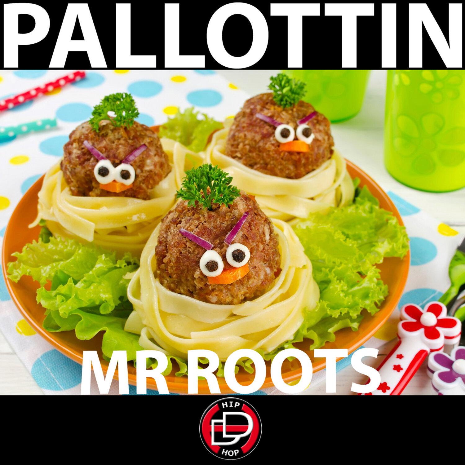 Постер альбома Pallottin