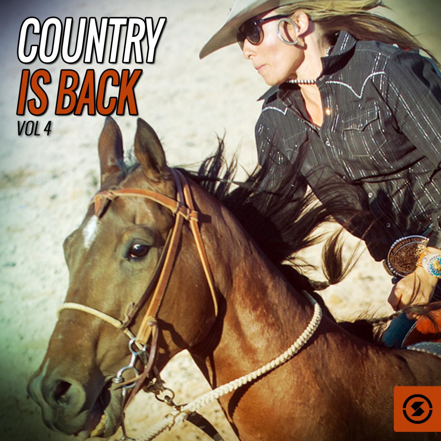 Постер альбома Country Is Back, Vol. 4