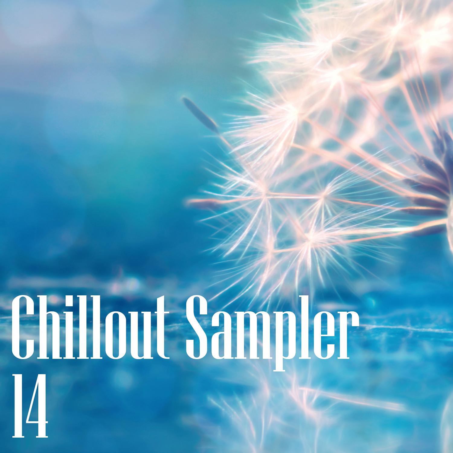 Постер альбома Chillout Sampler 14