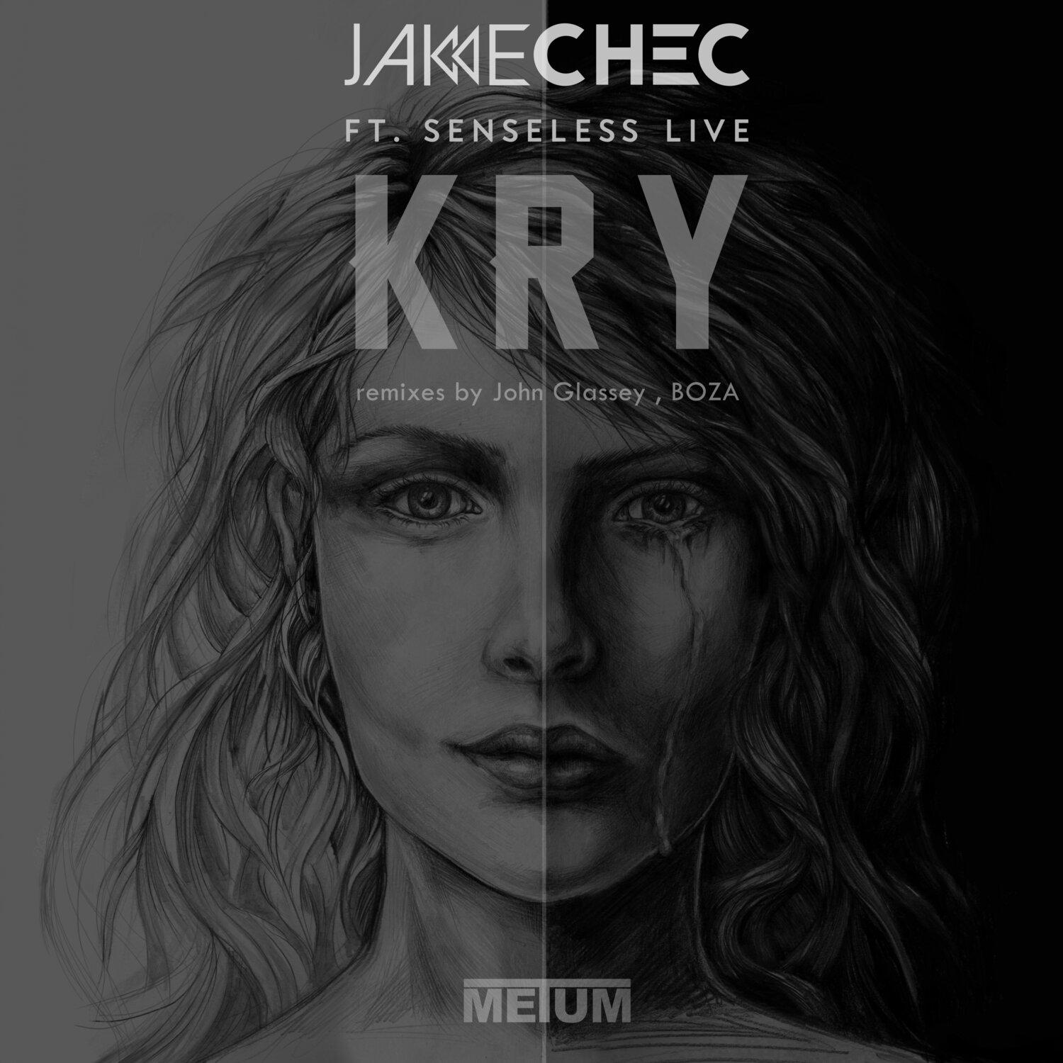 Постер альбома Kry