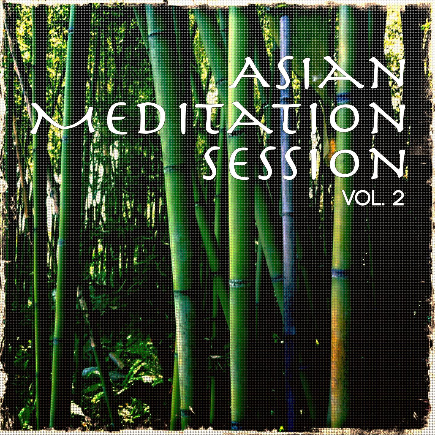 Постер альбома Asian Meditation Session, Vol. 2