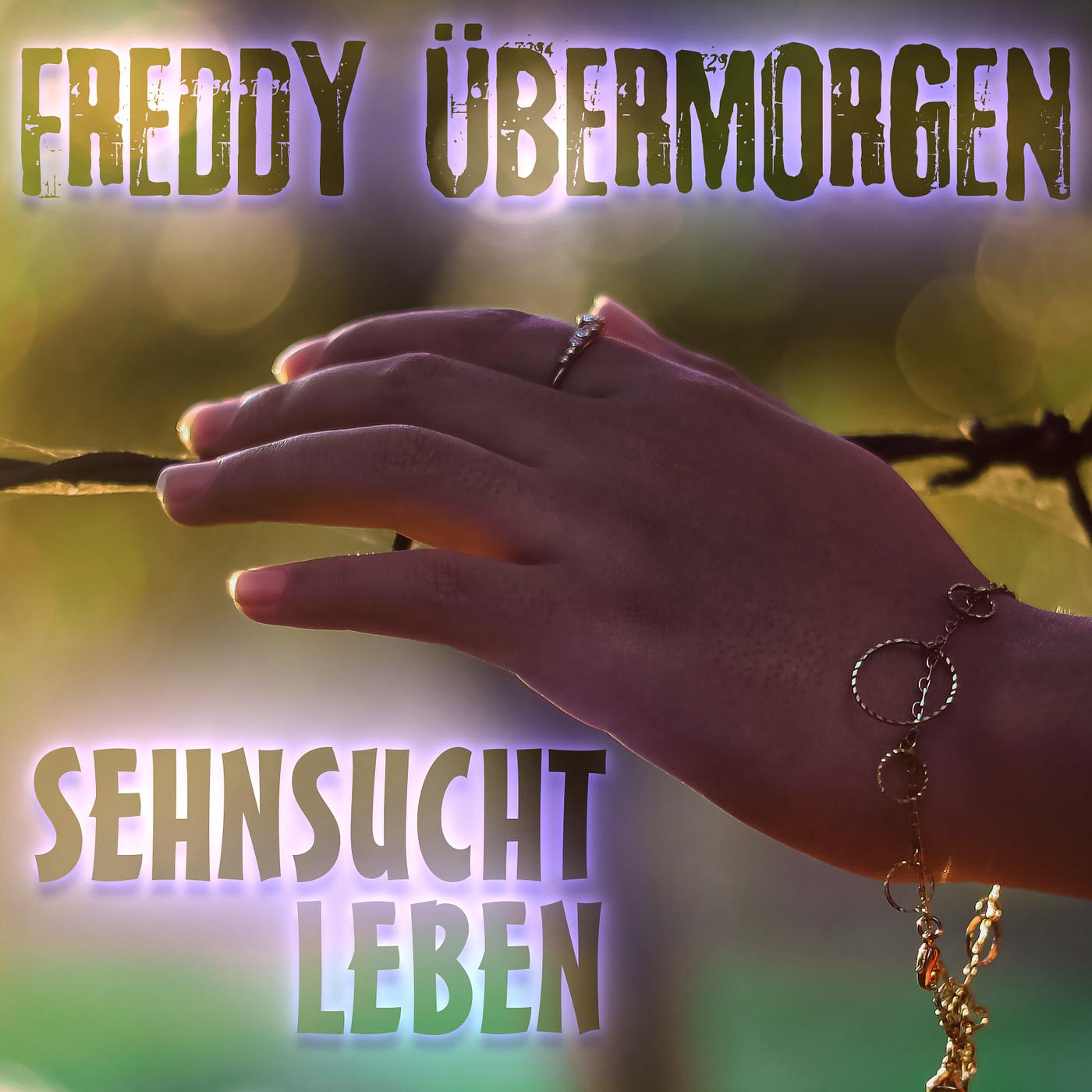 Постер альбома Sehnsucht Leben
