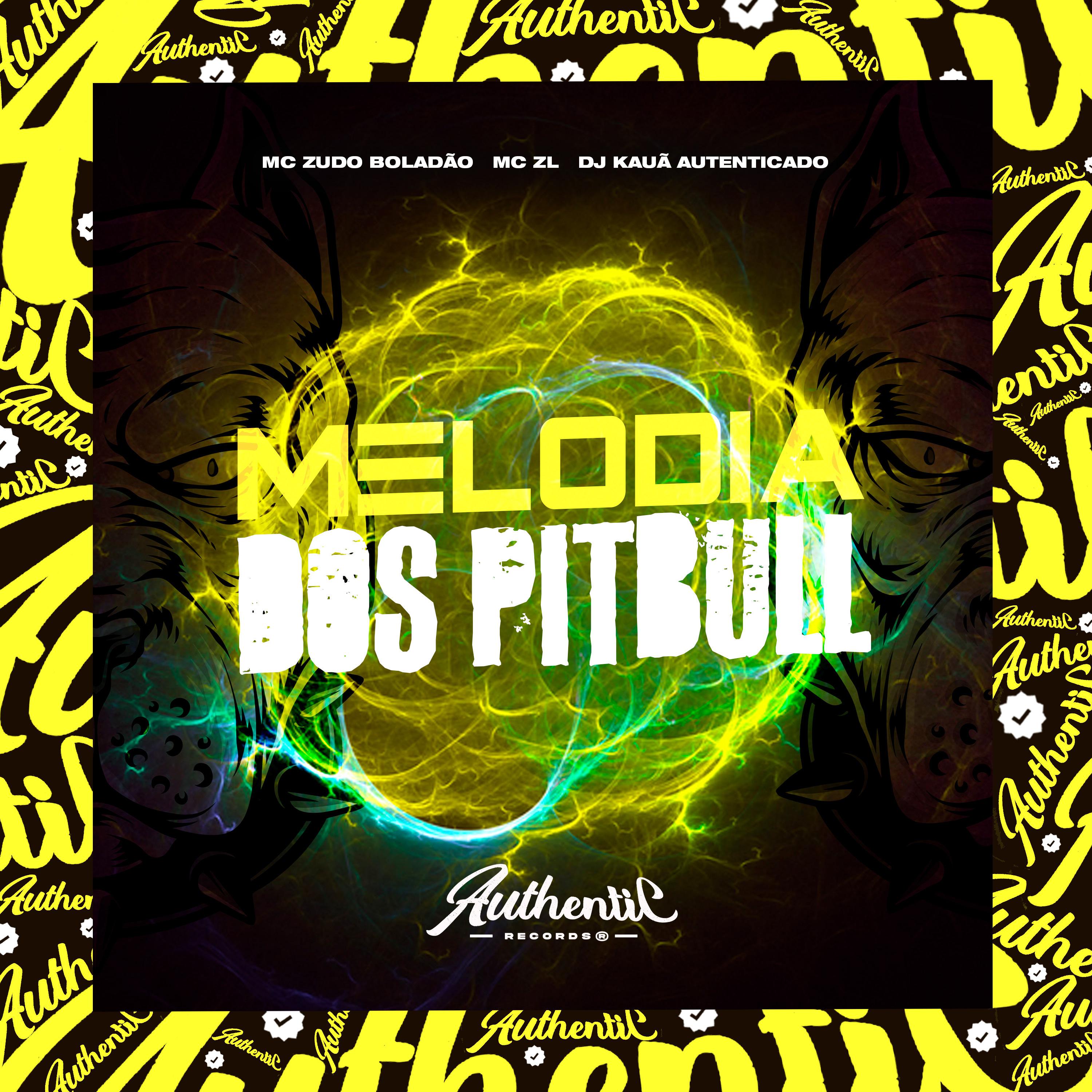Постер альбома Melodia dos Pitbull