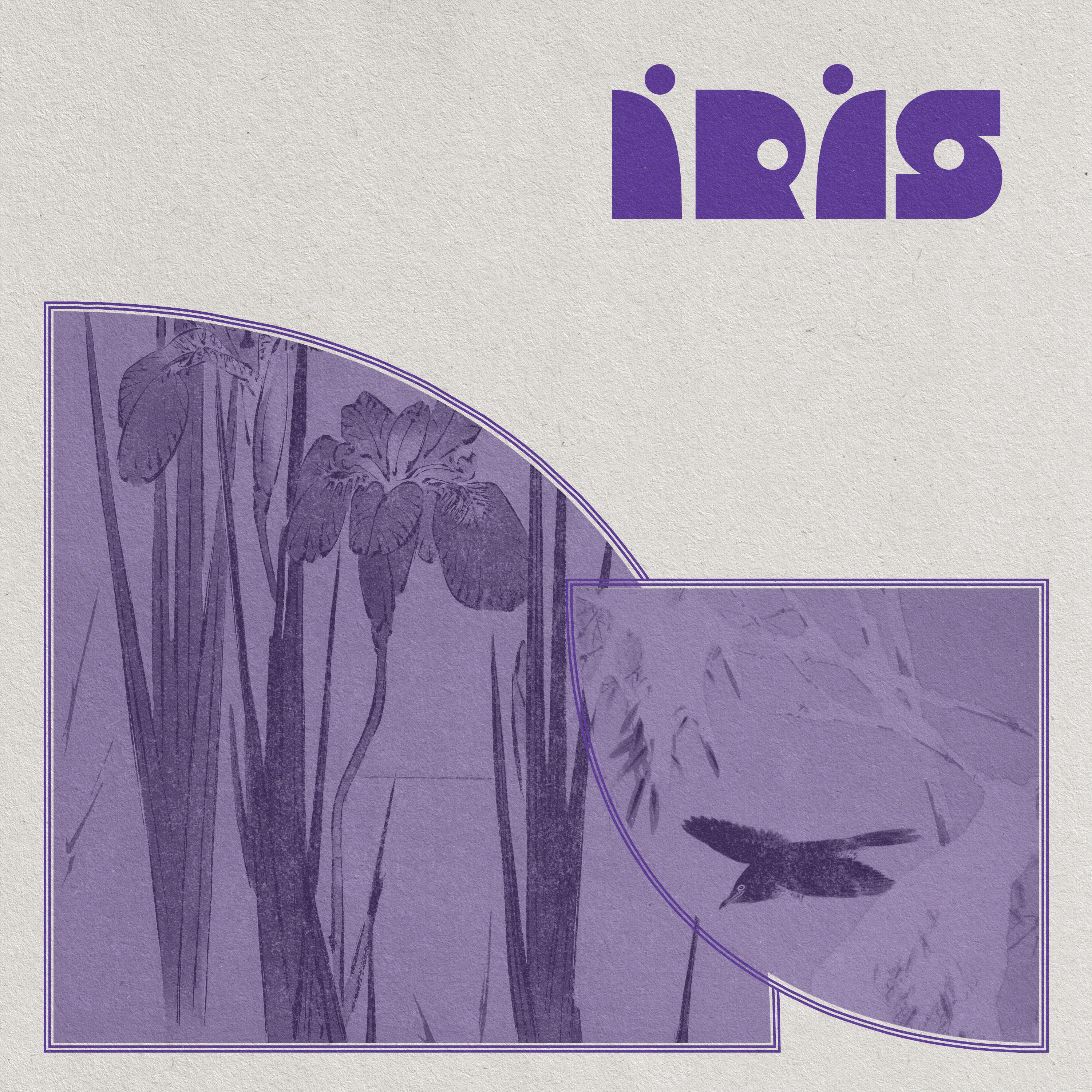 Постер альбома Íris