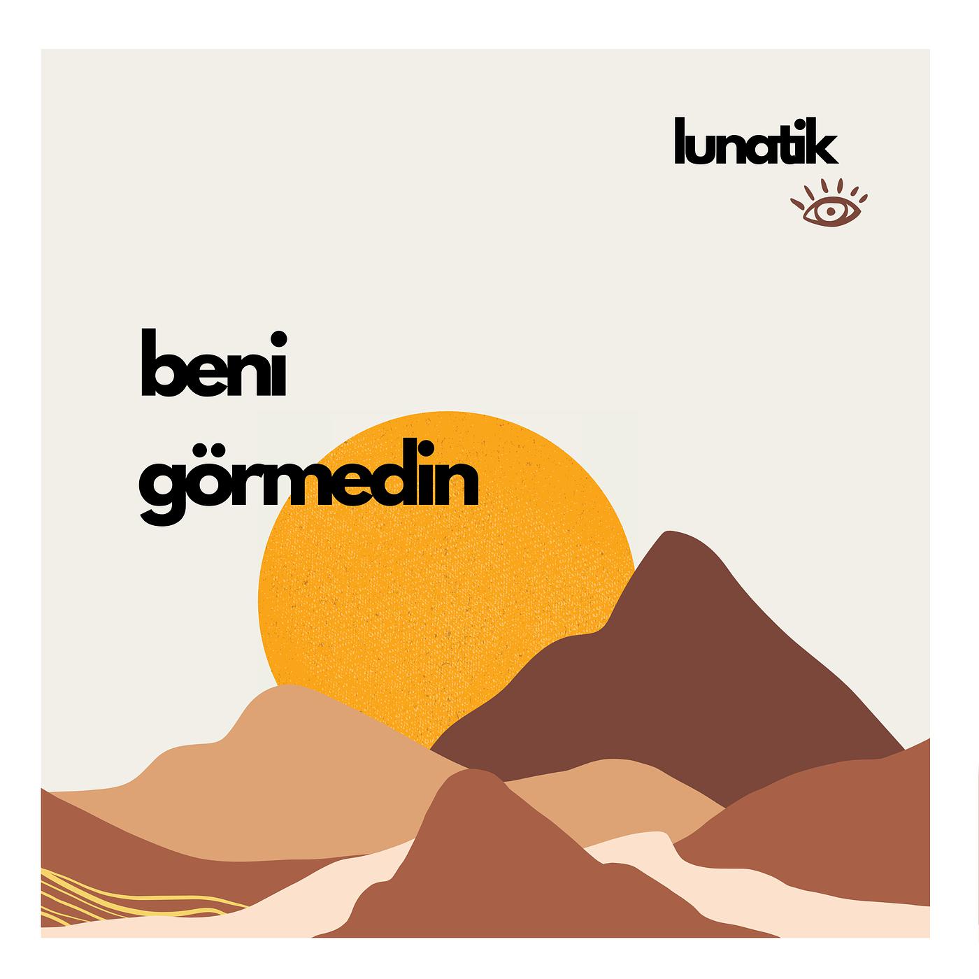 Постер альбома Beni Görmedin