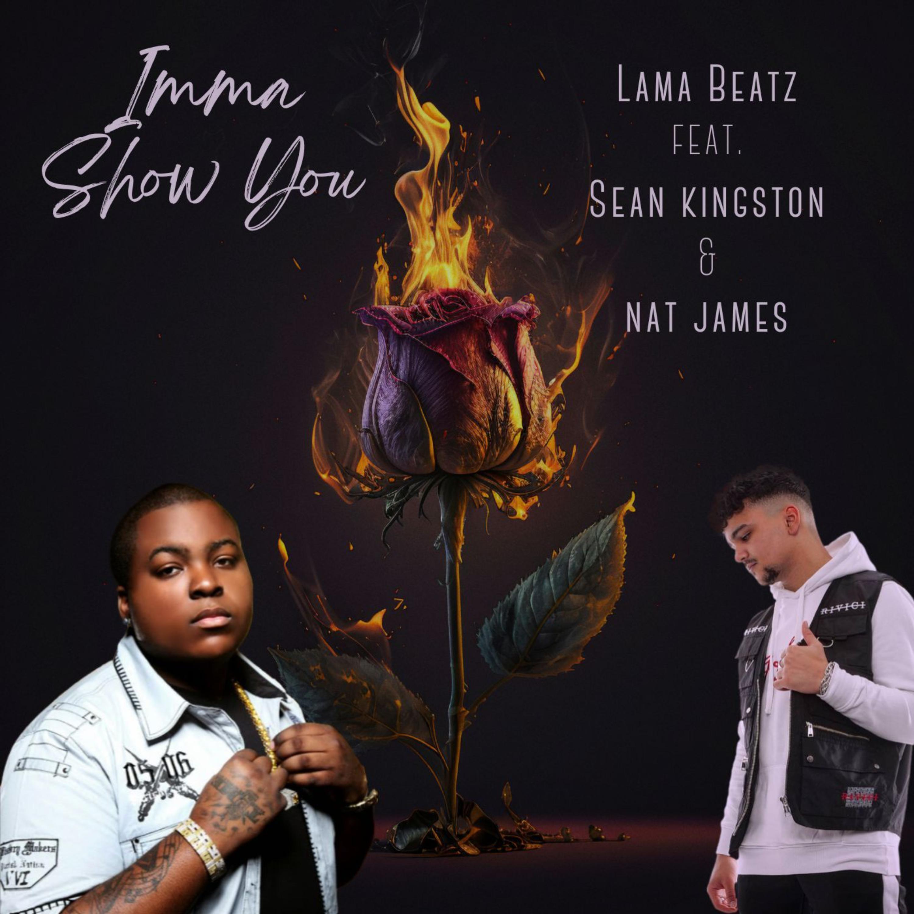 Постер альбома Imma Show You (feat. Sean Kingston & Nat James)