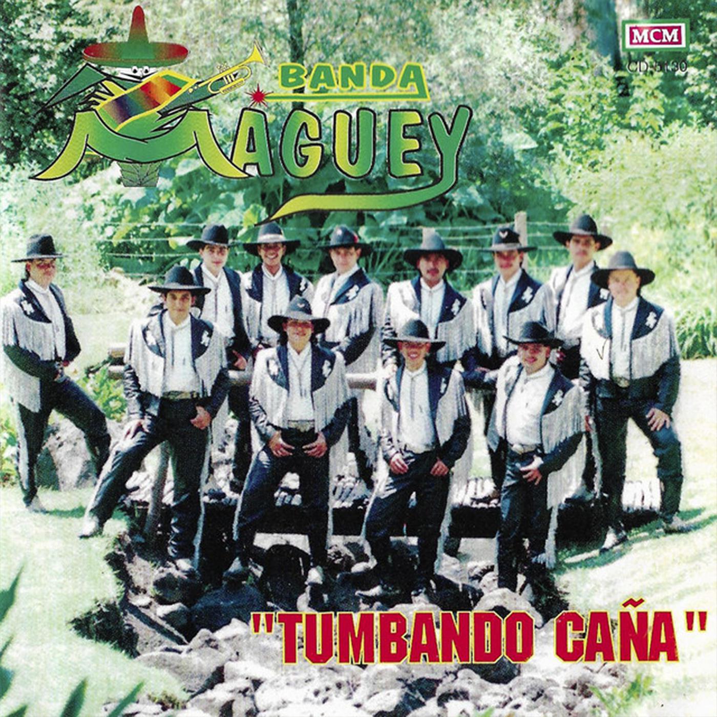 Постер альбома Tumbando Caña