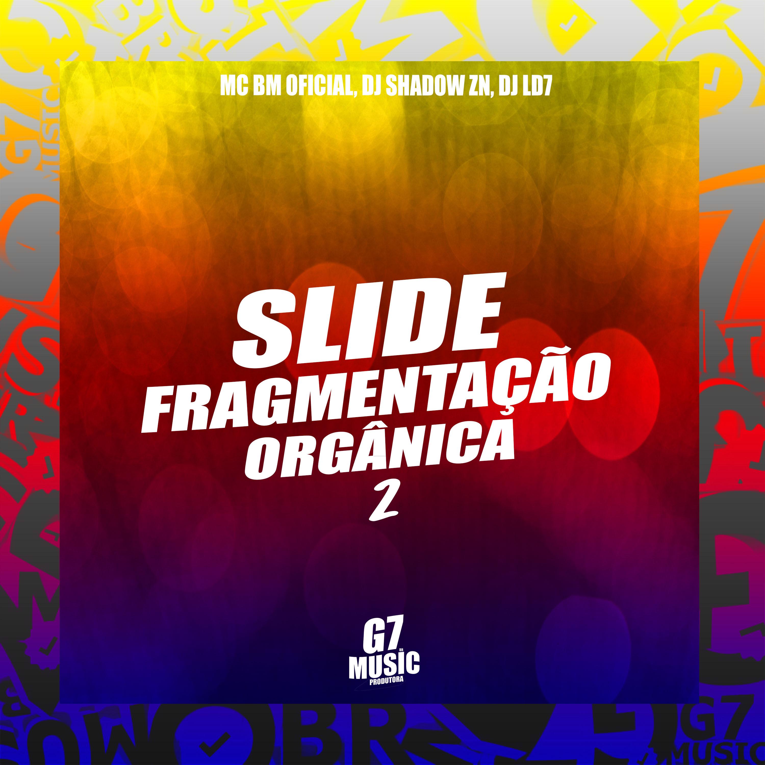 Постер альбома Slide Fragmentação Orgânica 2