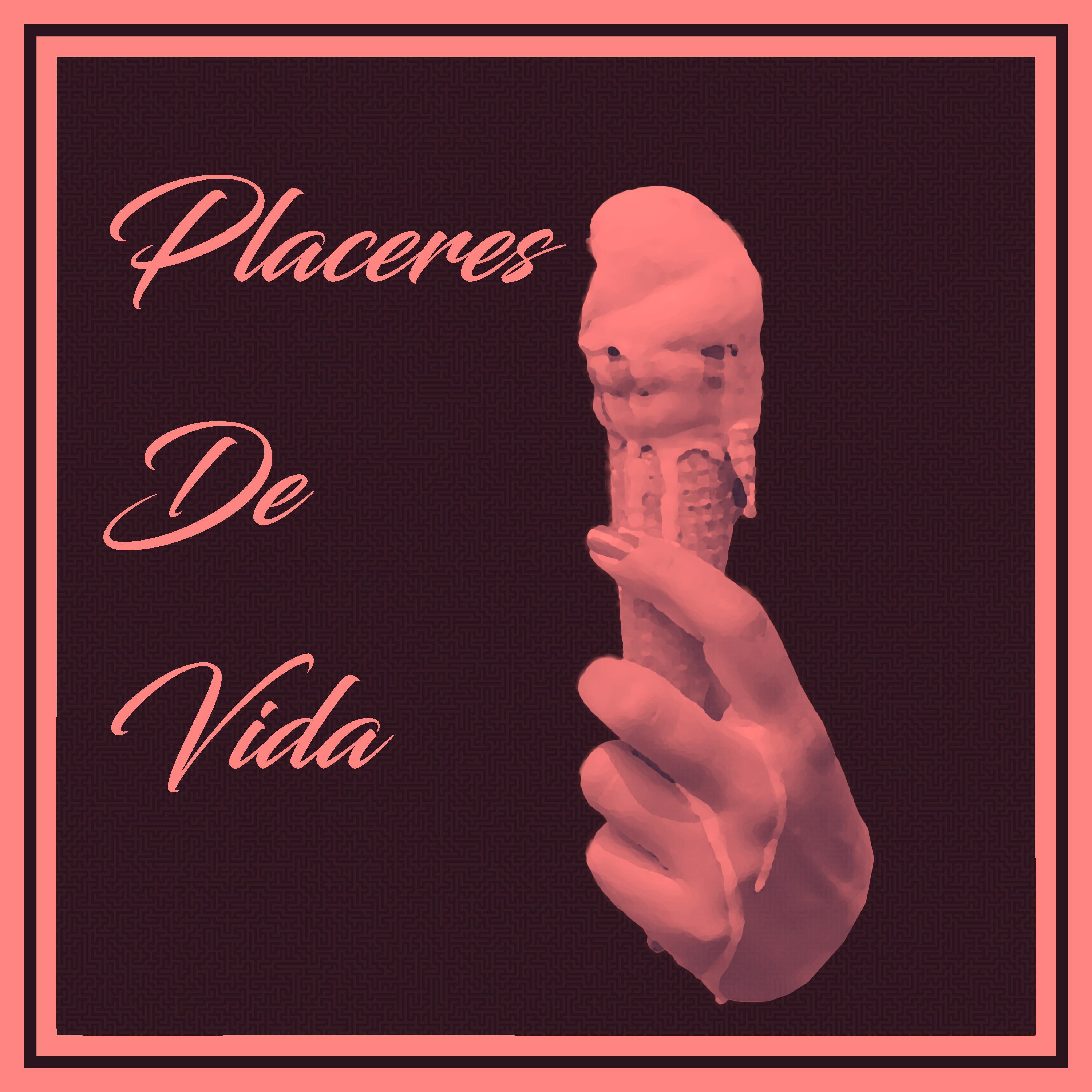Постер альбома Placeres de Vida