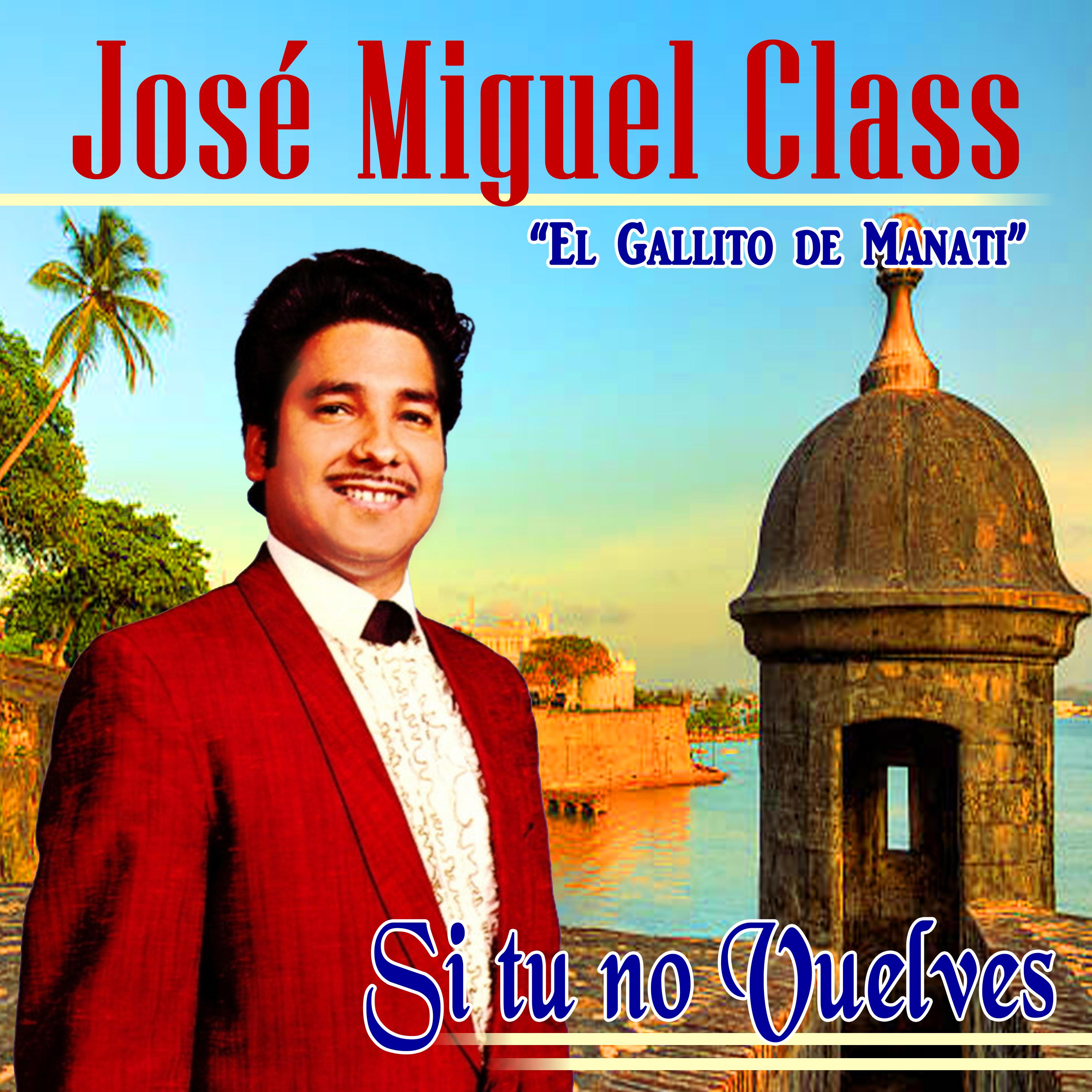 Постер альбома Si Tu No Vuelves "El Gallito de Manati"